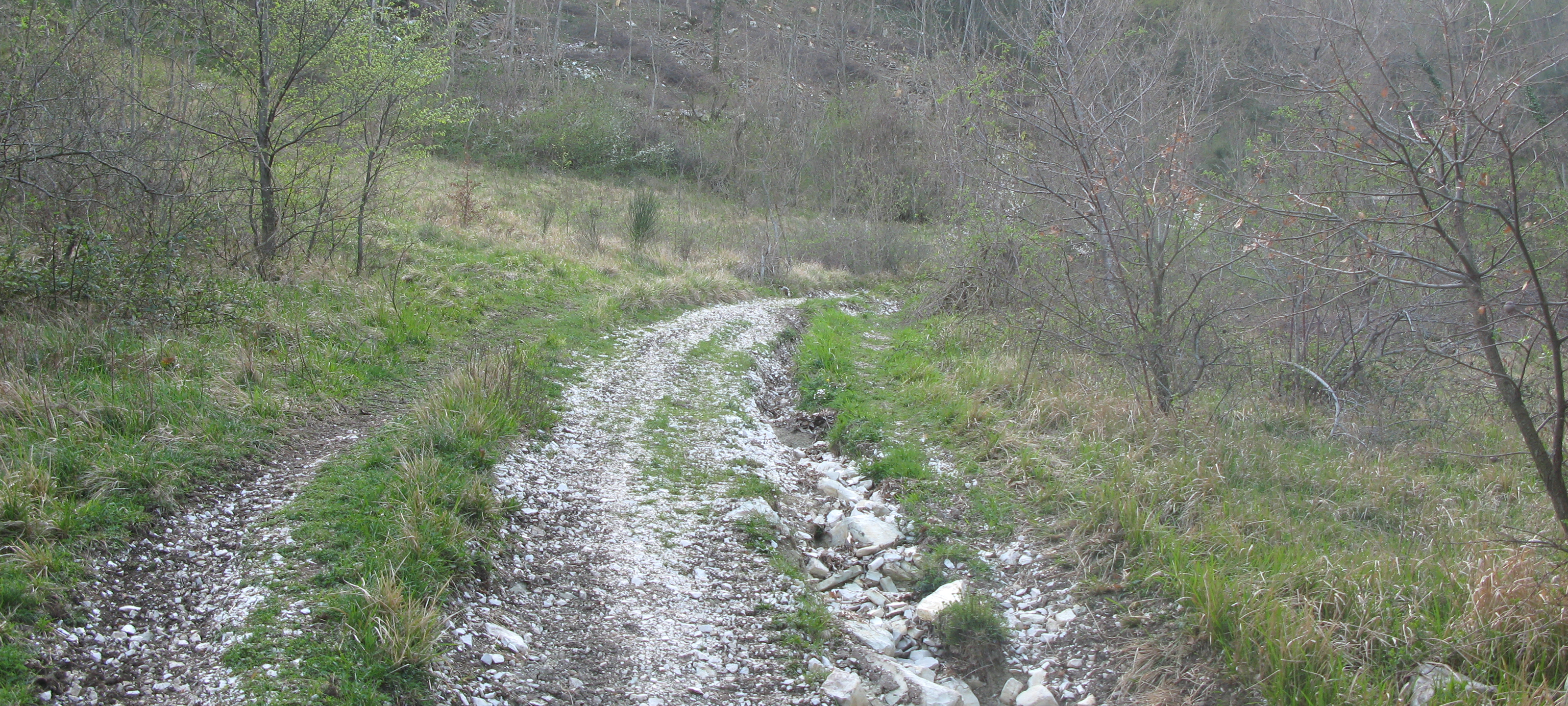 Monte Nerone Sentiero 16 - immagine 6