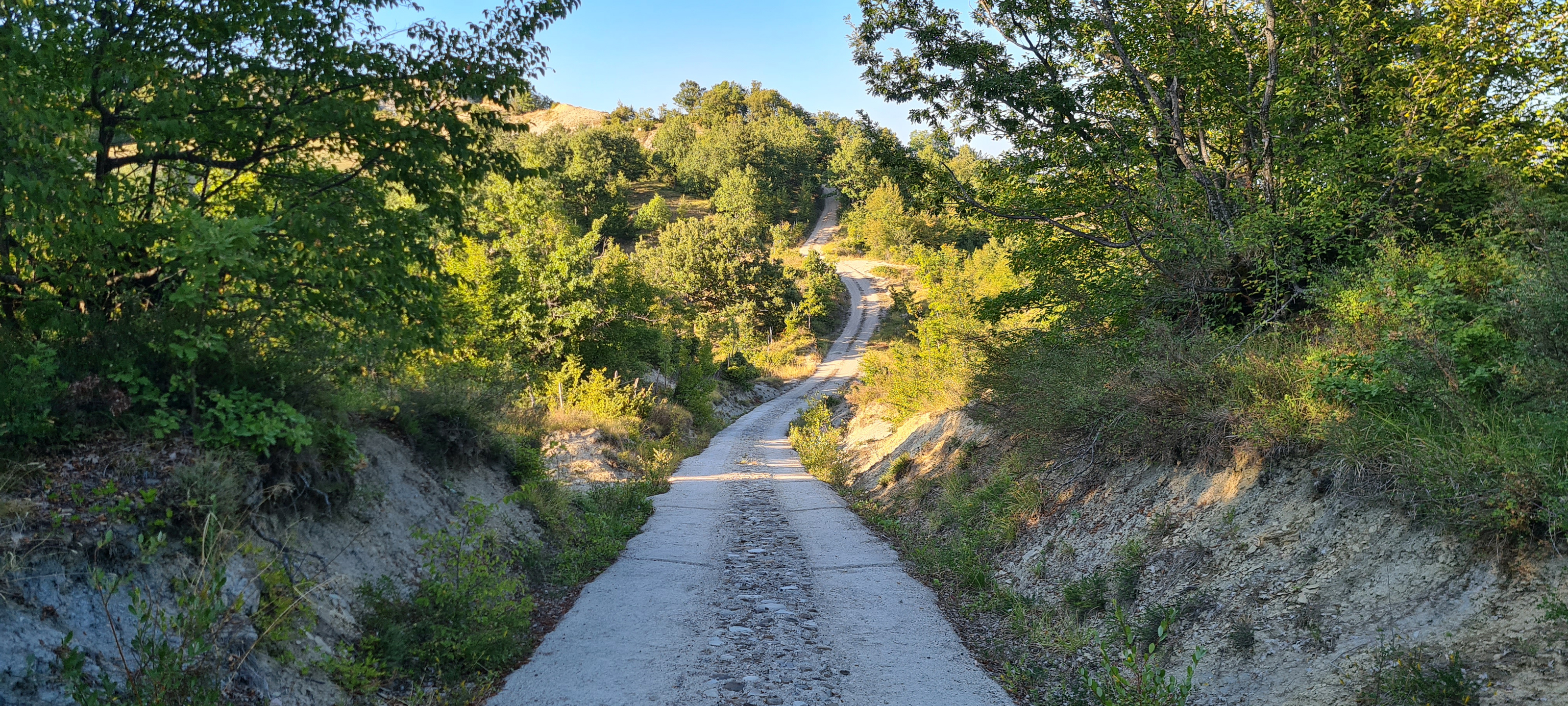 Parco Sasso Simone e Simoncello Sentiero 17 - immagine 2
