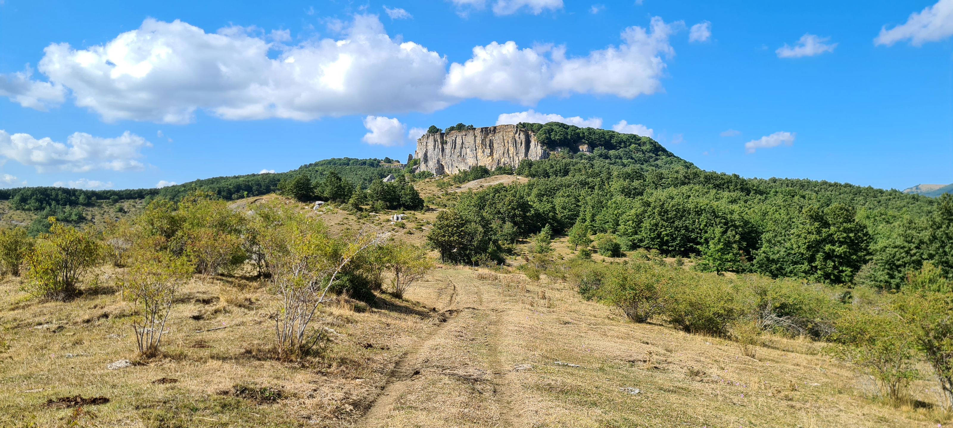Parco Sasso Simone e Simoncello Sentiero 17 - immagine 3