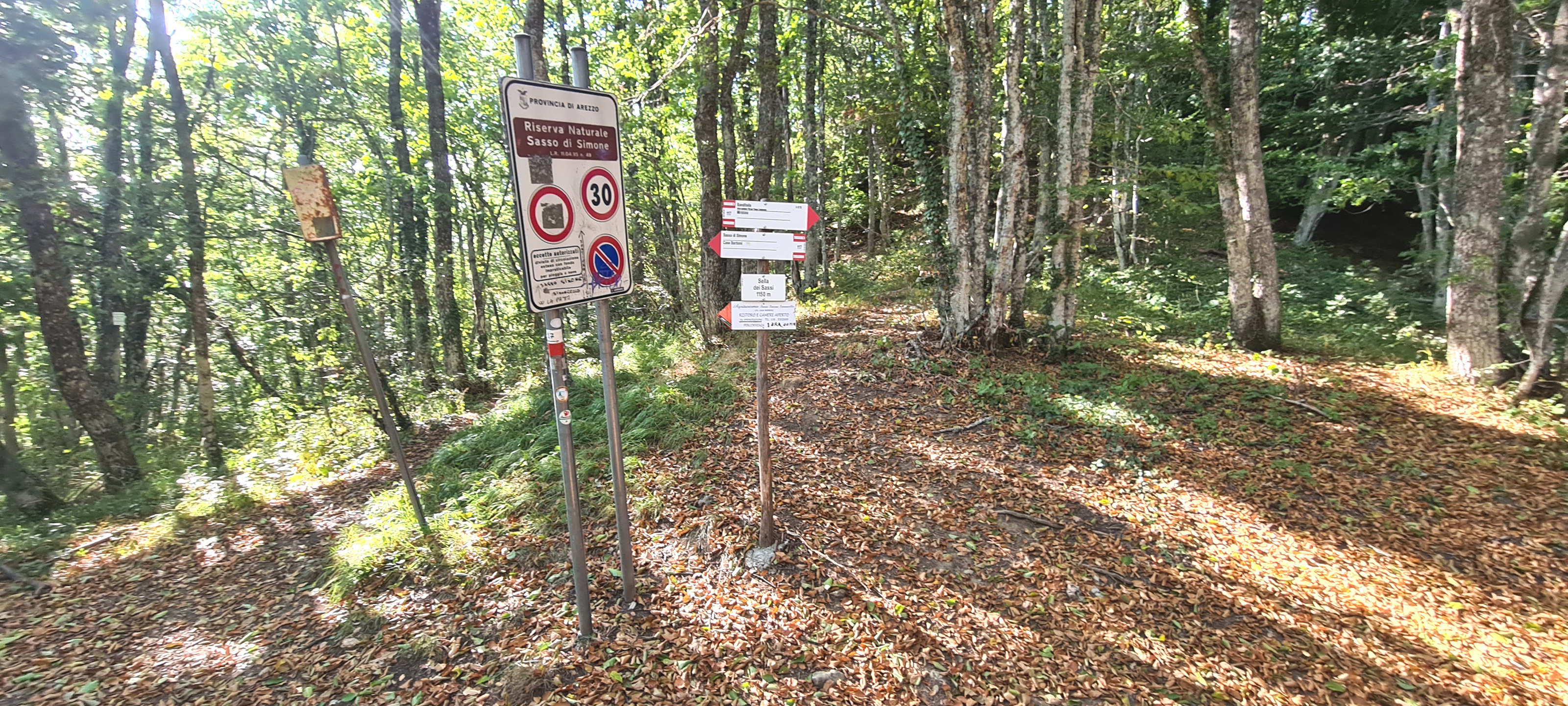 Parco Sasso Simone e Simoncello Sentiero 17 - immagine 6