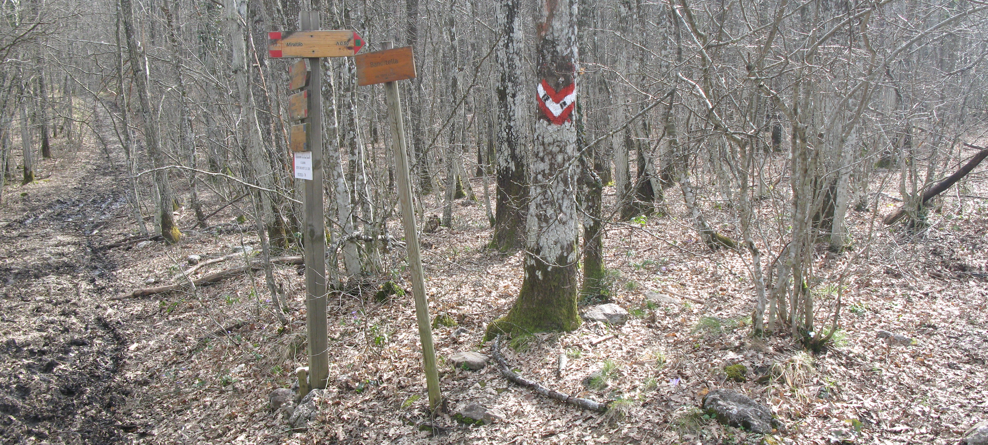Parco Sasso Simone e Simoncello Sentiero 17 - immagine 7 (Banditella)