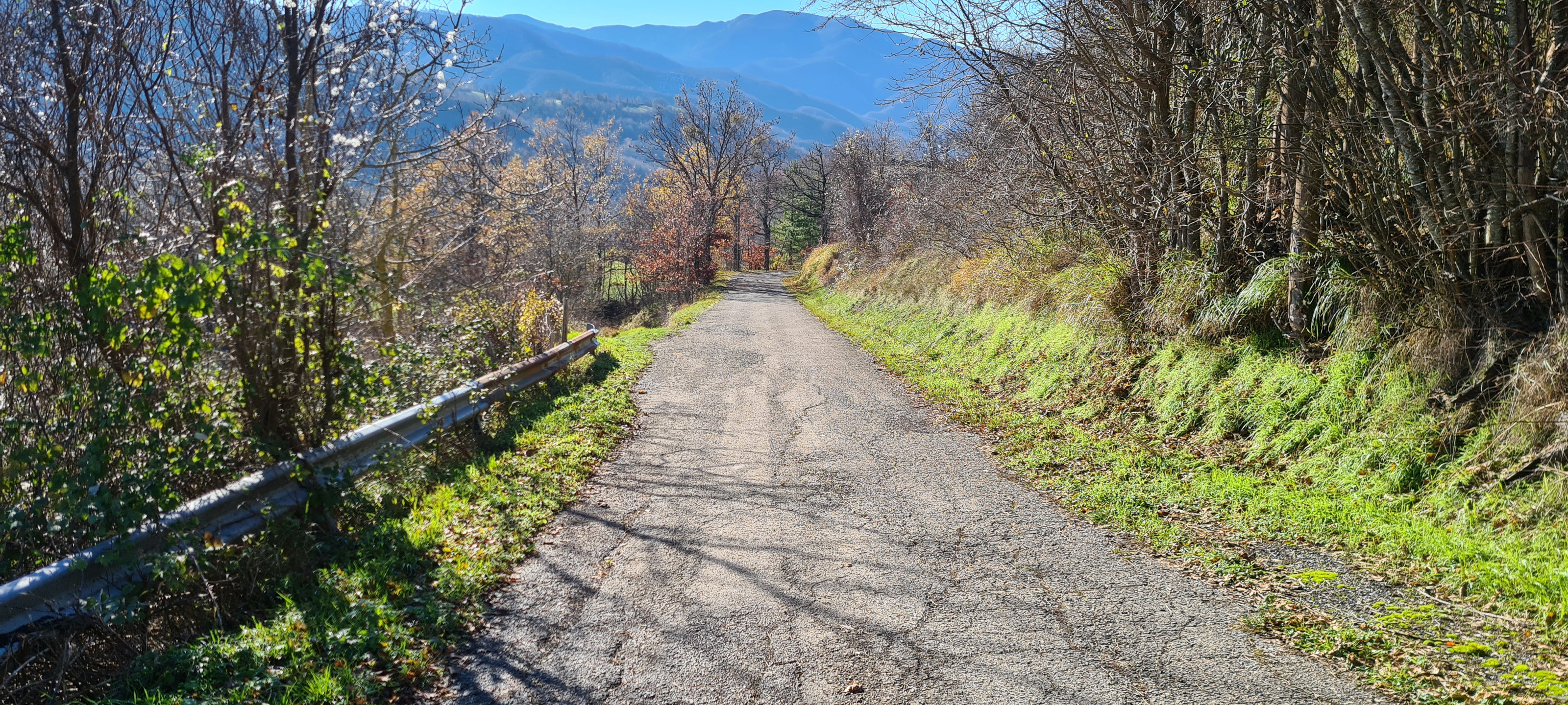 Parco Sasso Simone e Simoncello Sentiero 17 - immagine 12