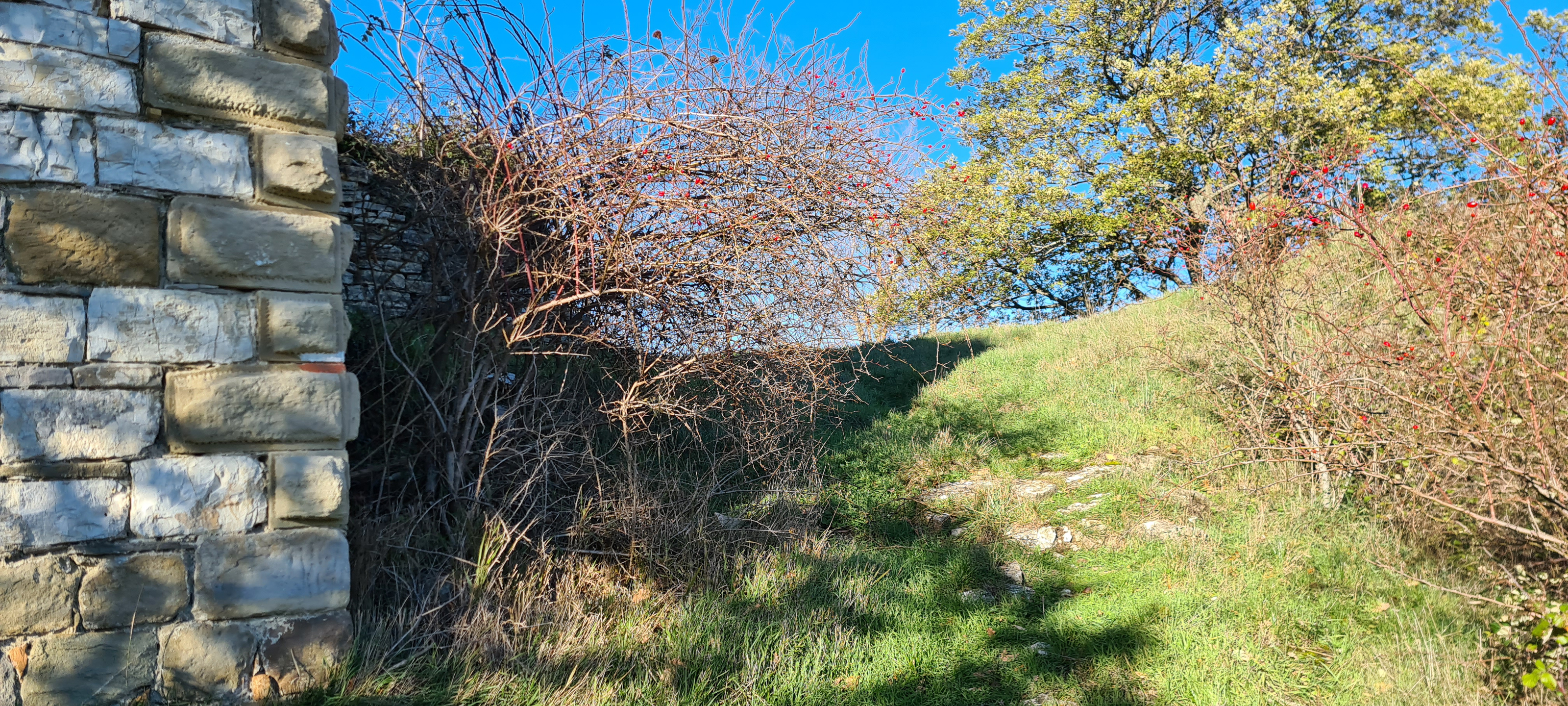 Parco Sasso Simone e Simoncello Sentiero 17 - immagine 14