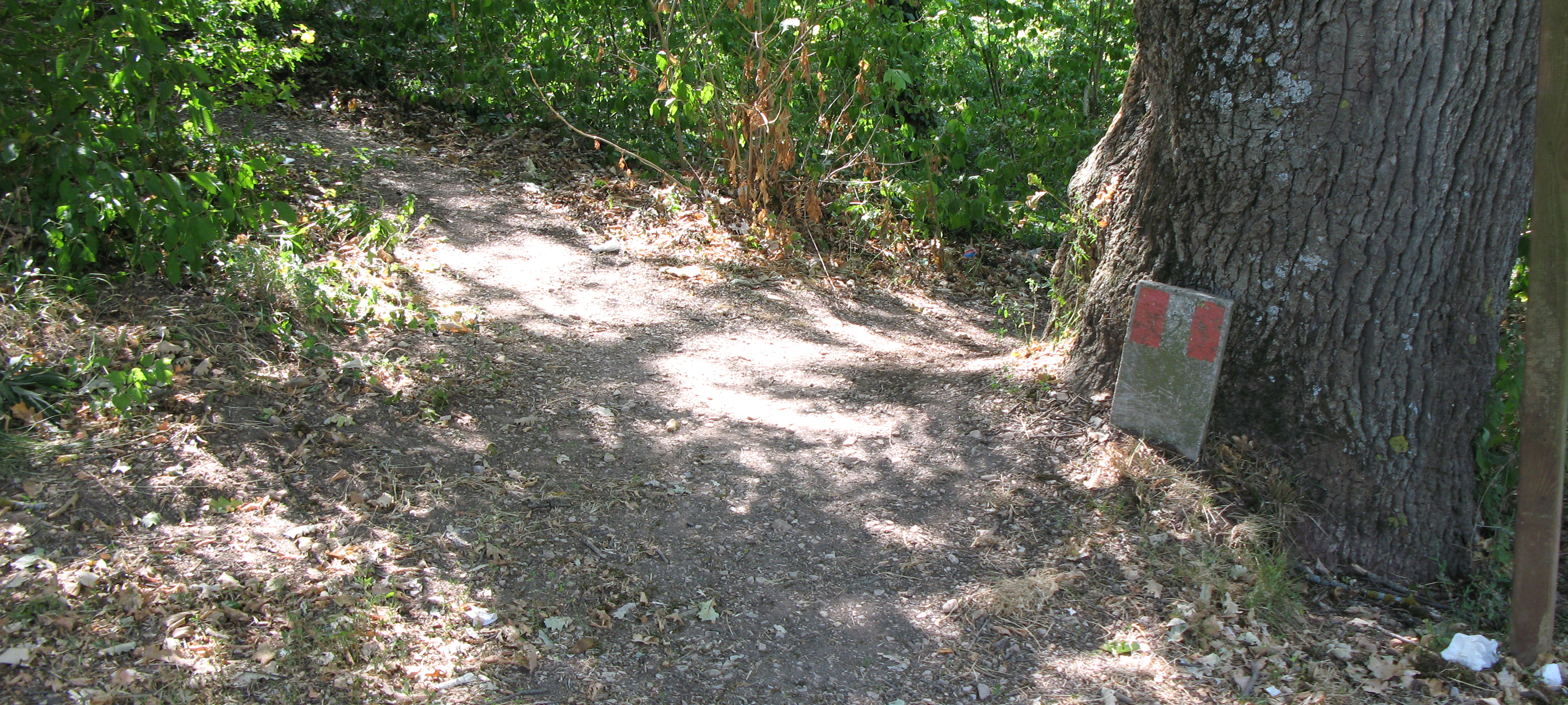 Monte Nerone Sentiero 2 - immagine 1
