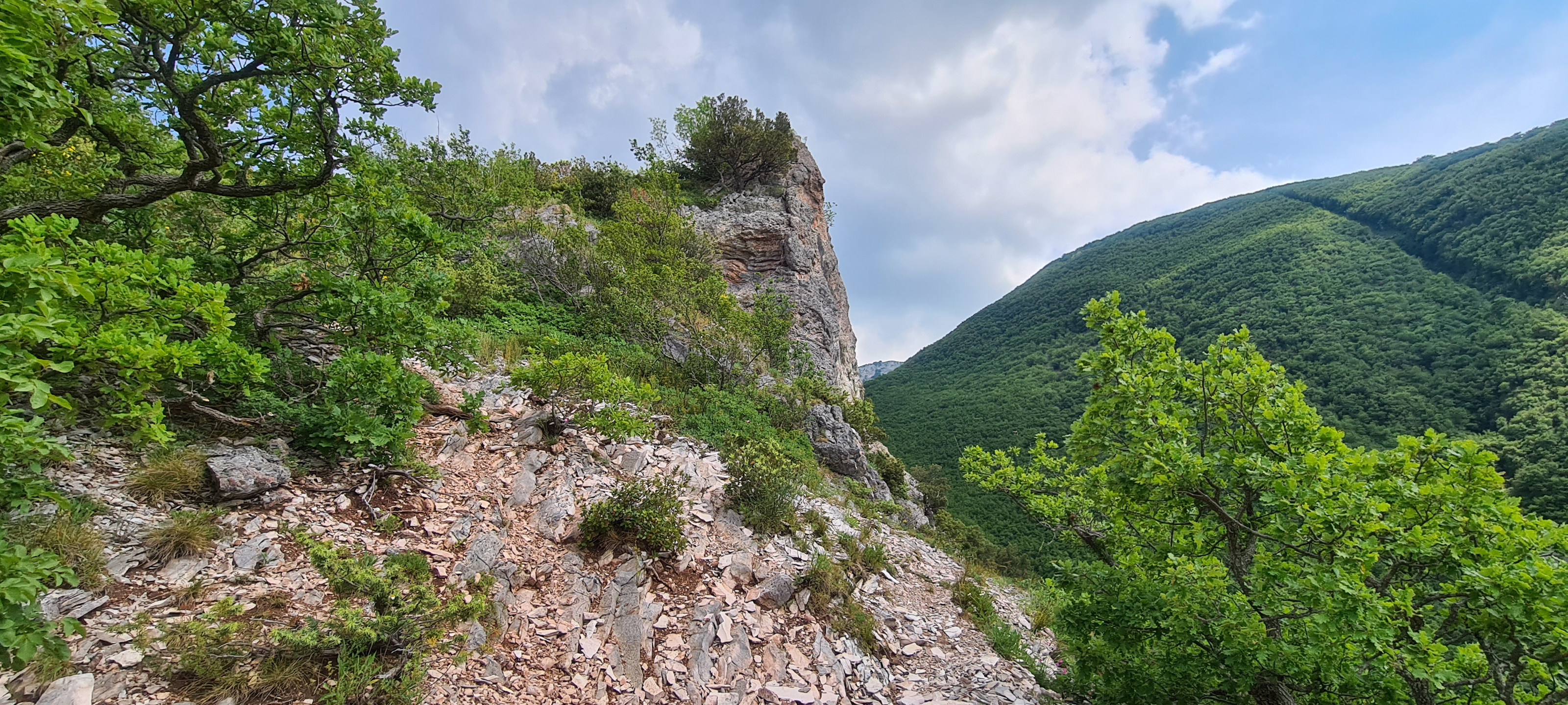 Monte Nerone Sentiero 2 - immagine 3