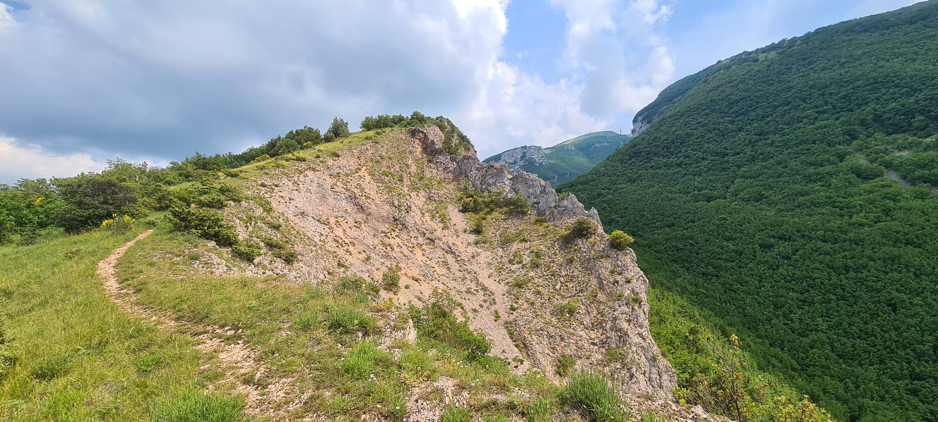 Monte Nerone Sentiero 2 - immagine 4