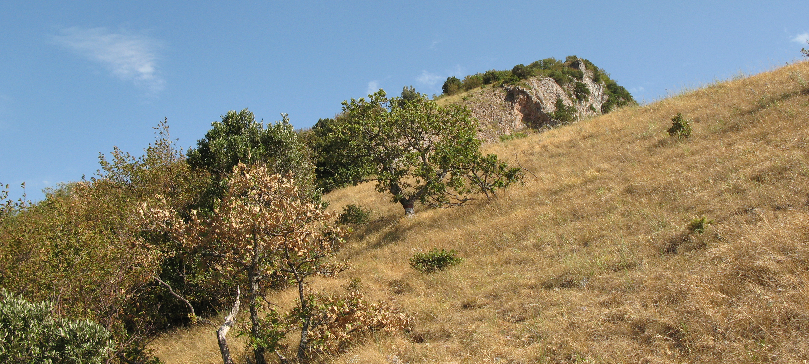 Monte Nerone Sentiero 2 - immagine 5
