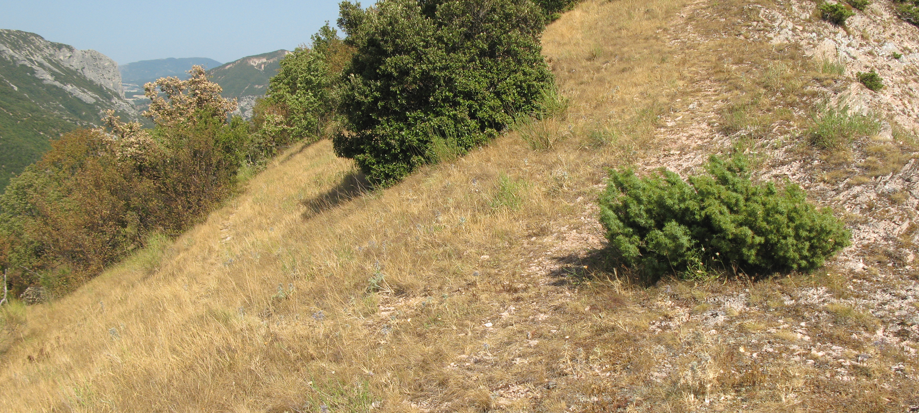 Monte Nerone Sentiero 2 - immagine 6