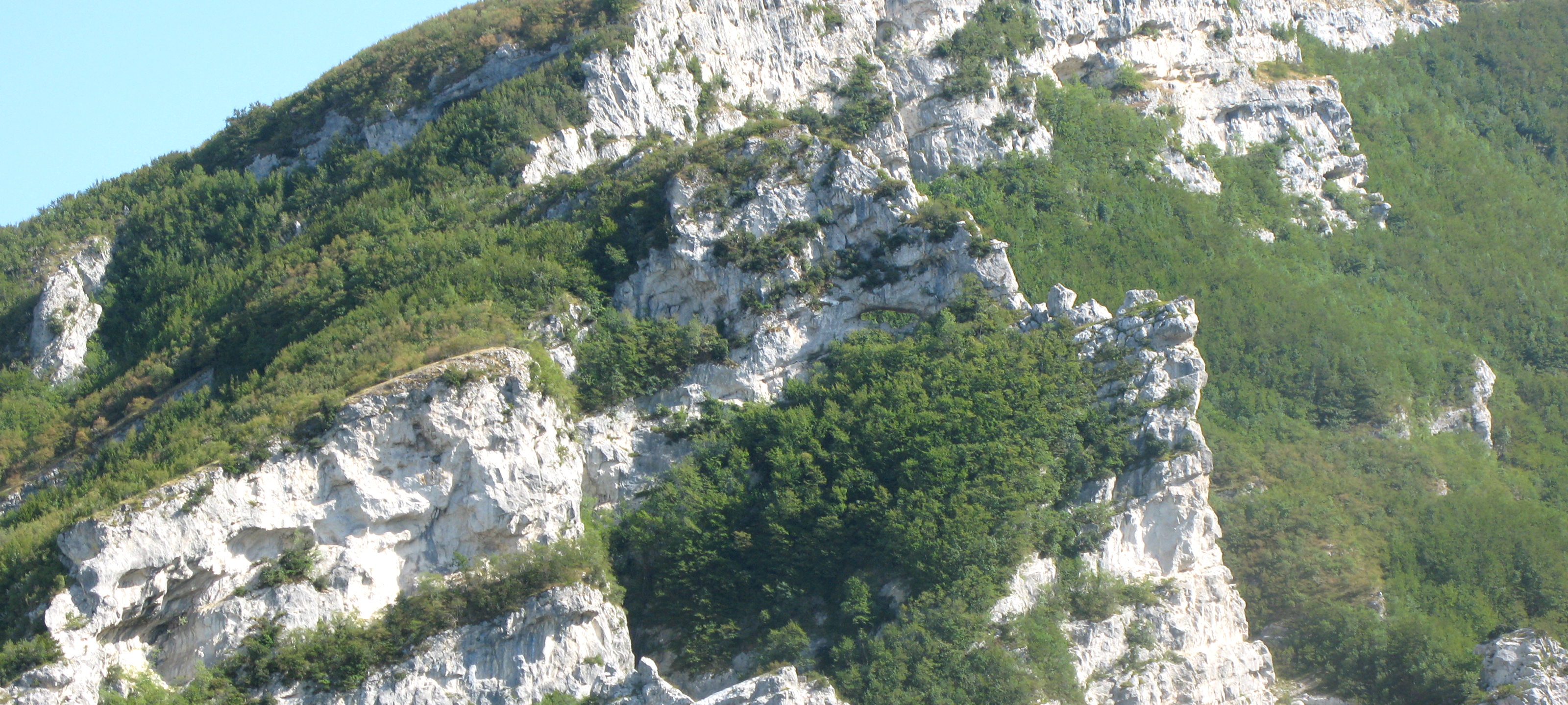 Monte Nerone Sentiero 2 - immagine 7