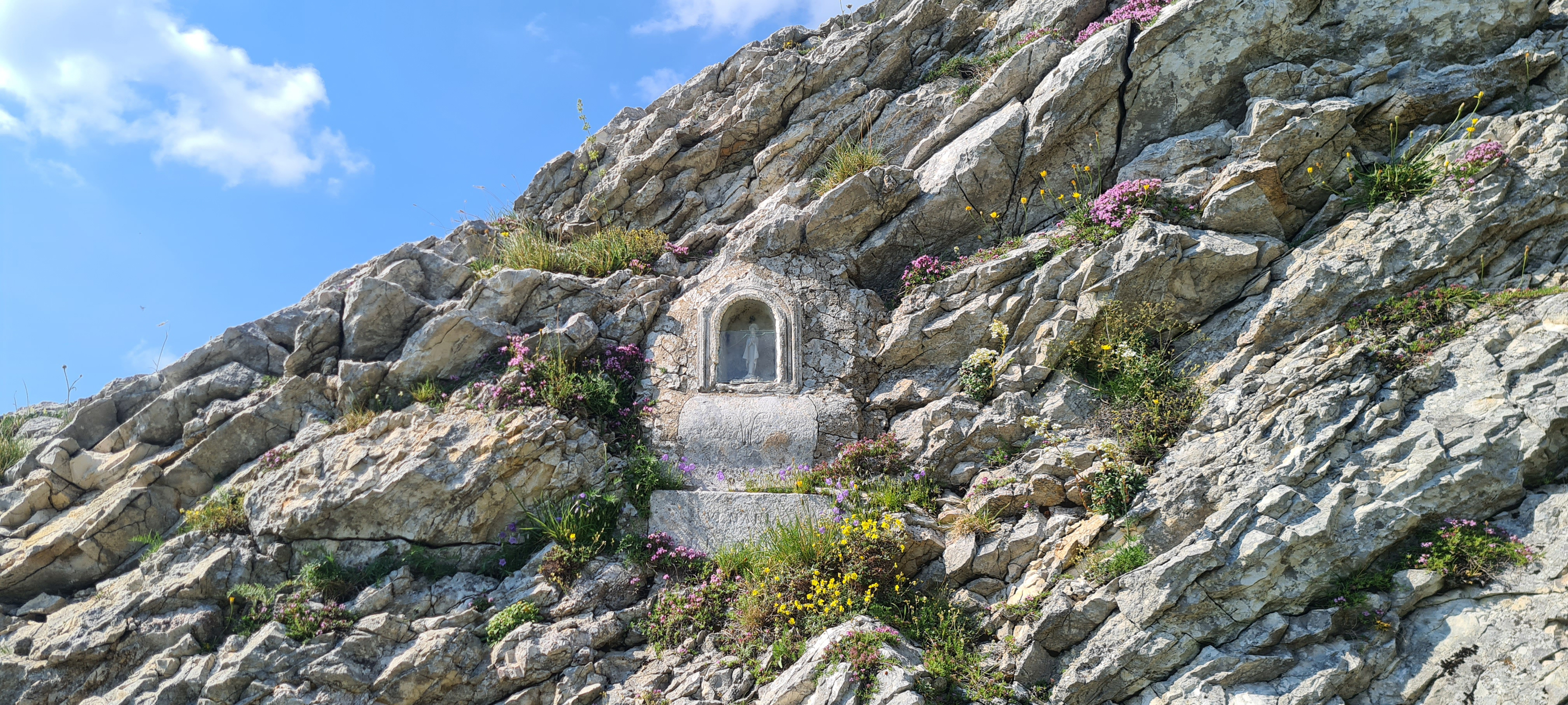 Monte Nerone Sentiero 2 - immagine 9 (Passo della Madonna)