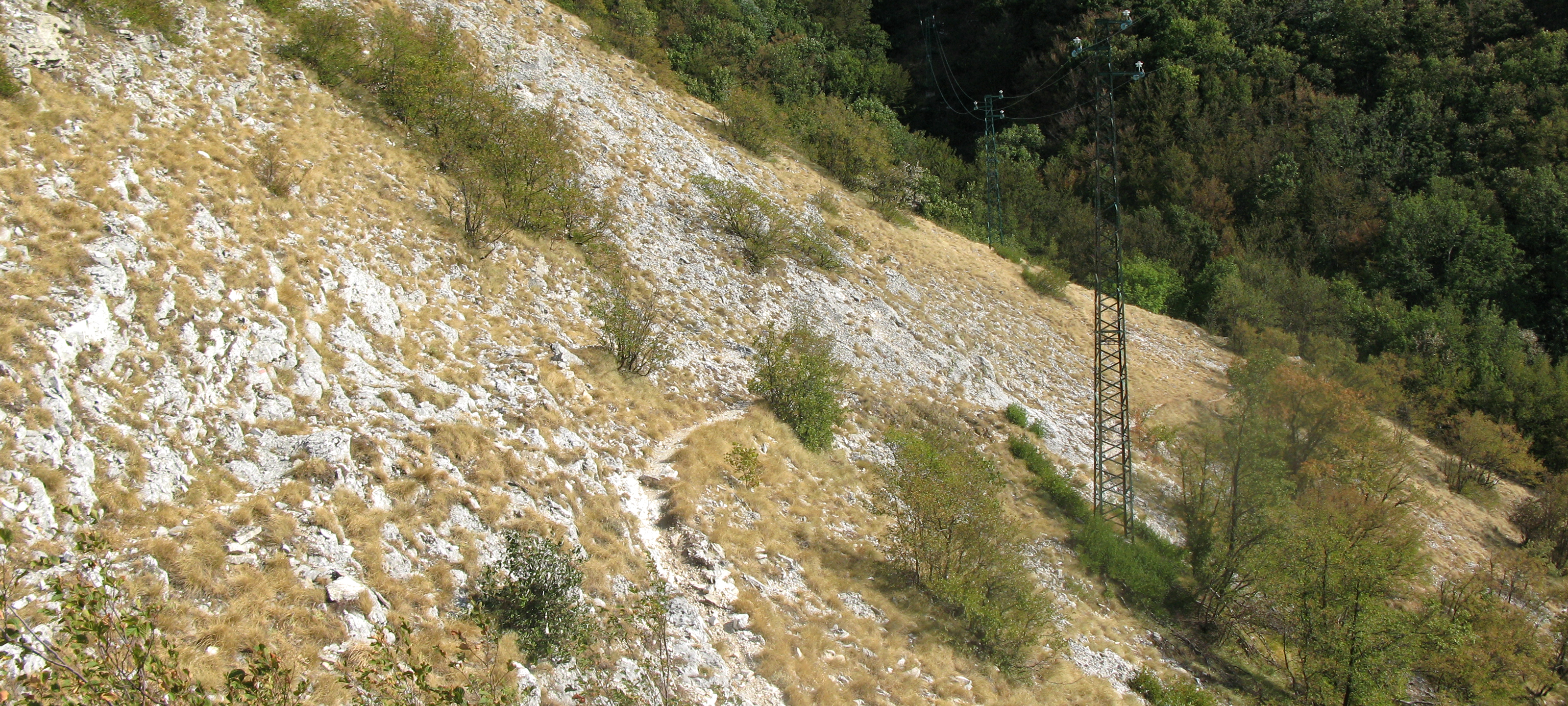 Monte Nerone Sentiero 2 - immagine 10