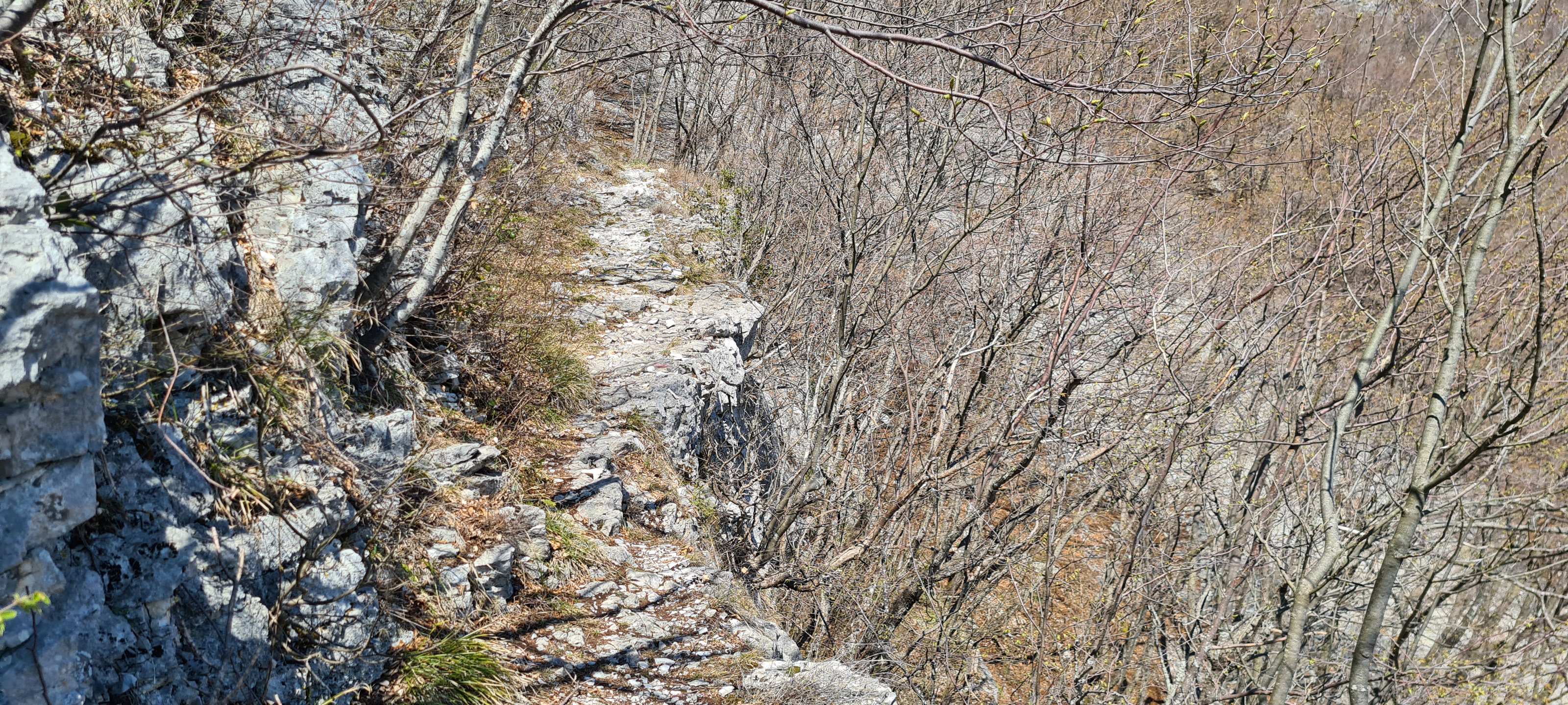Monte Nerone Sentiero 21 - immagine 2
