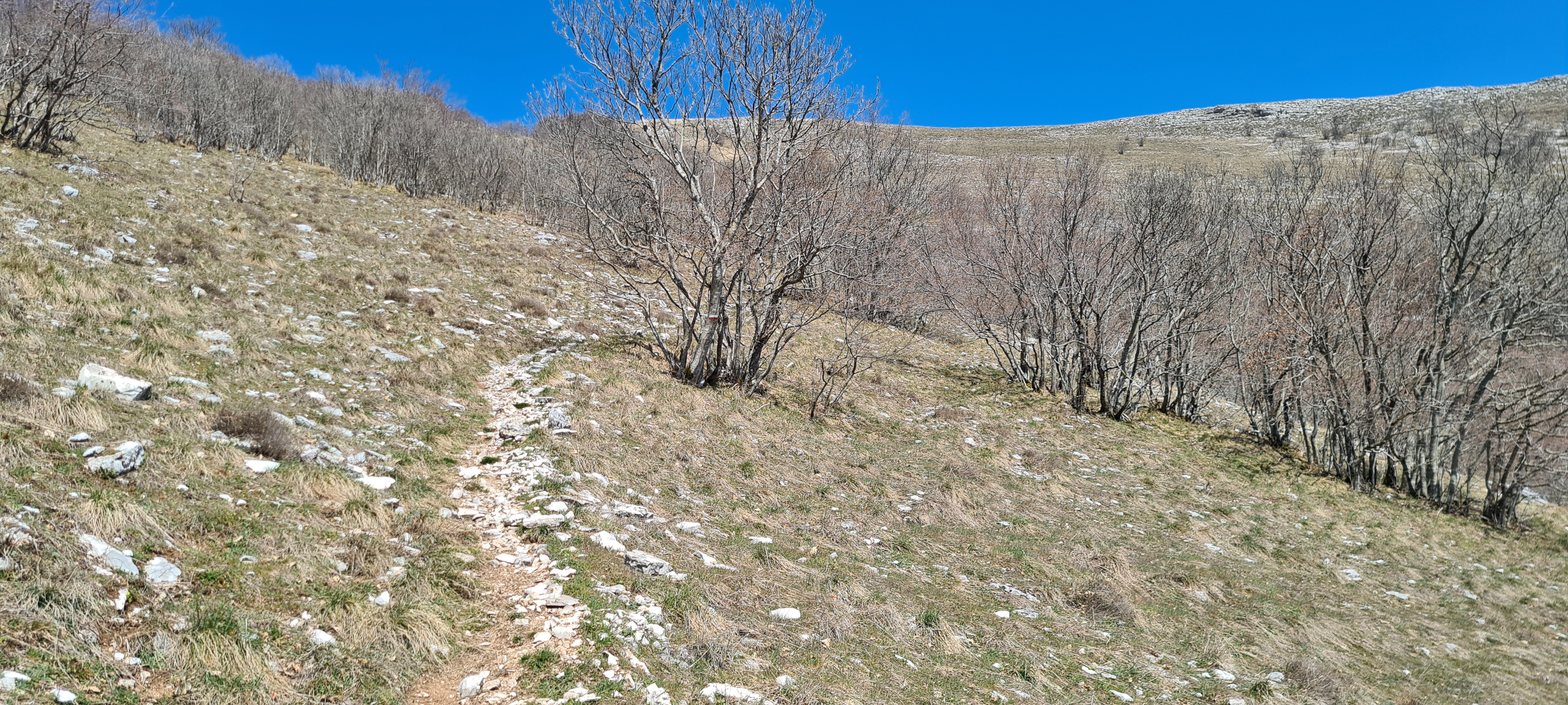 Monte Nerone Sentiero 21 - immagine 7