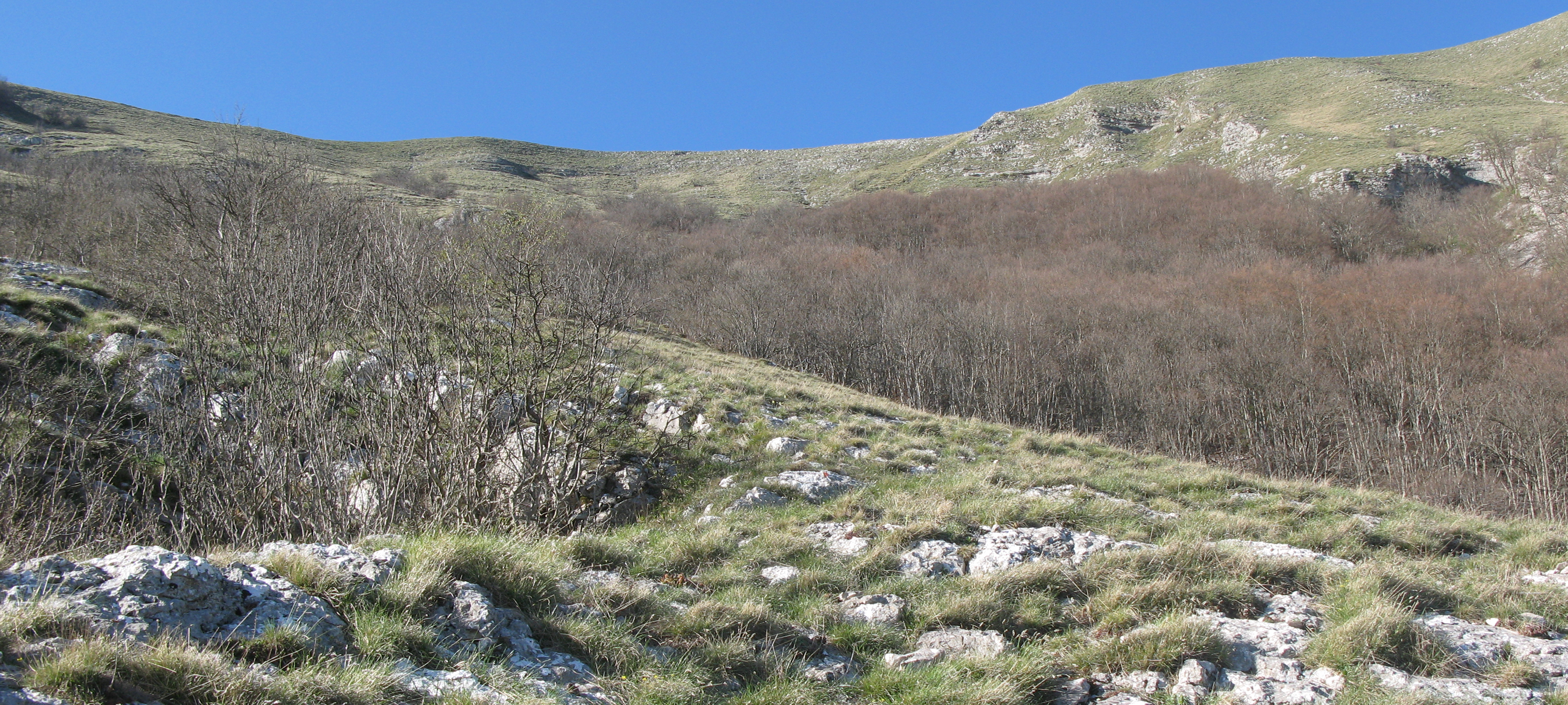 Monte Nerone Sentiero 21 - immagine 10