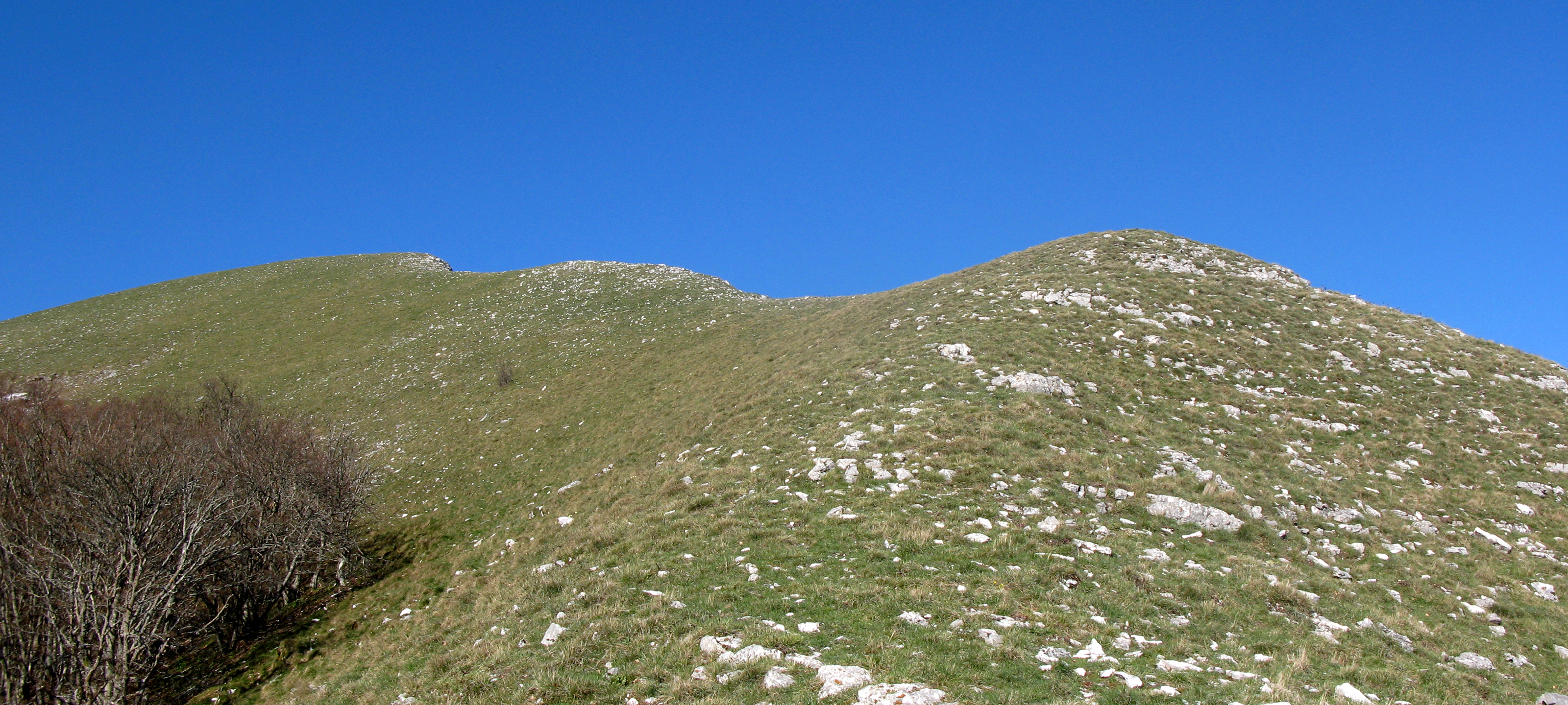 Monte Nerone Sentiero 21 - immagine 12