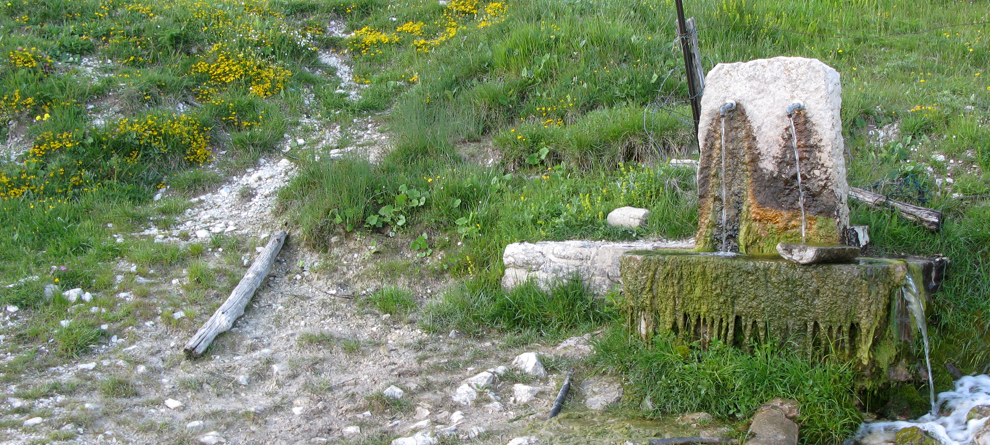 Monte Nerone Sentiero 27 - immagine 1