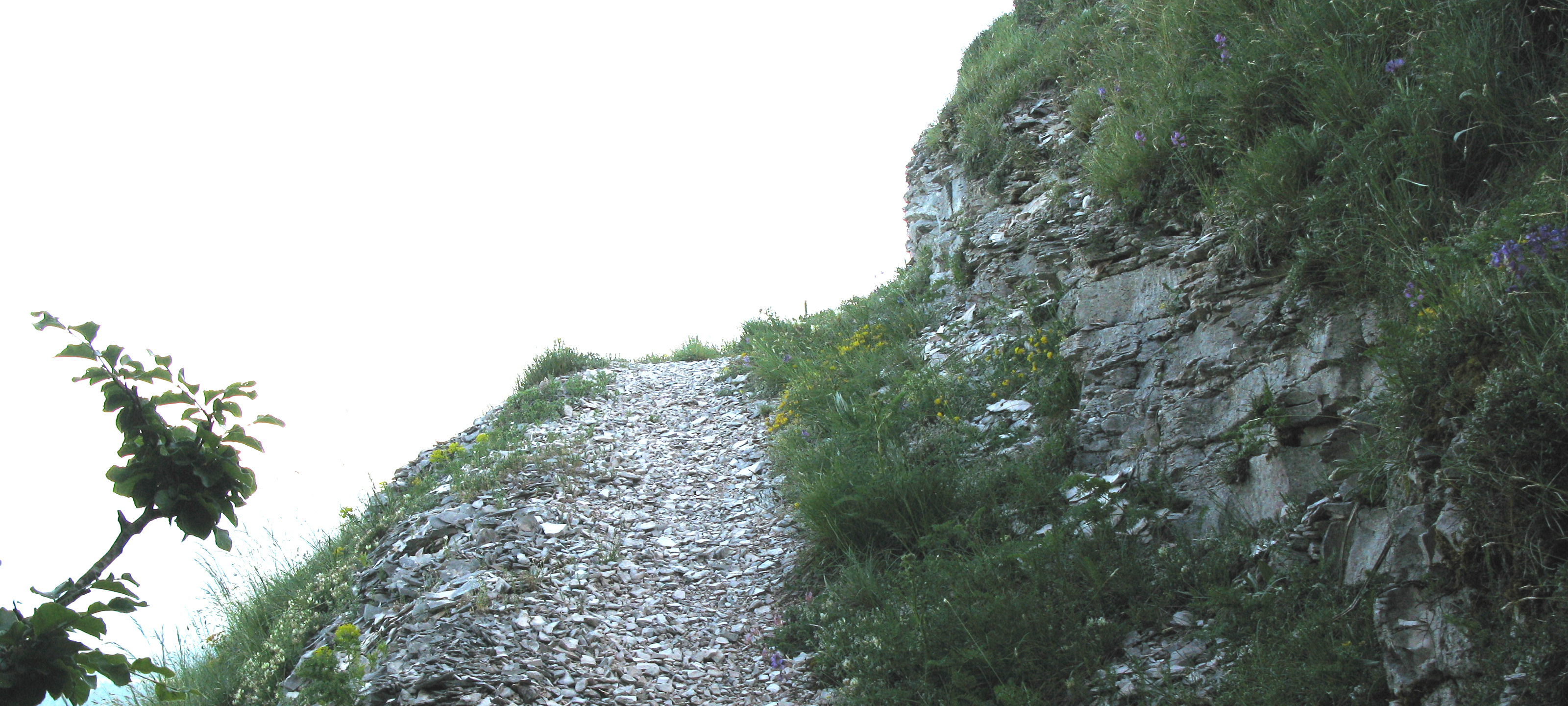 Monte Nerone Sentiero 27 - immagine 4