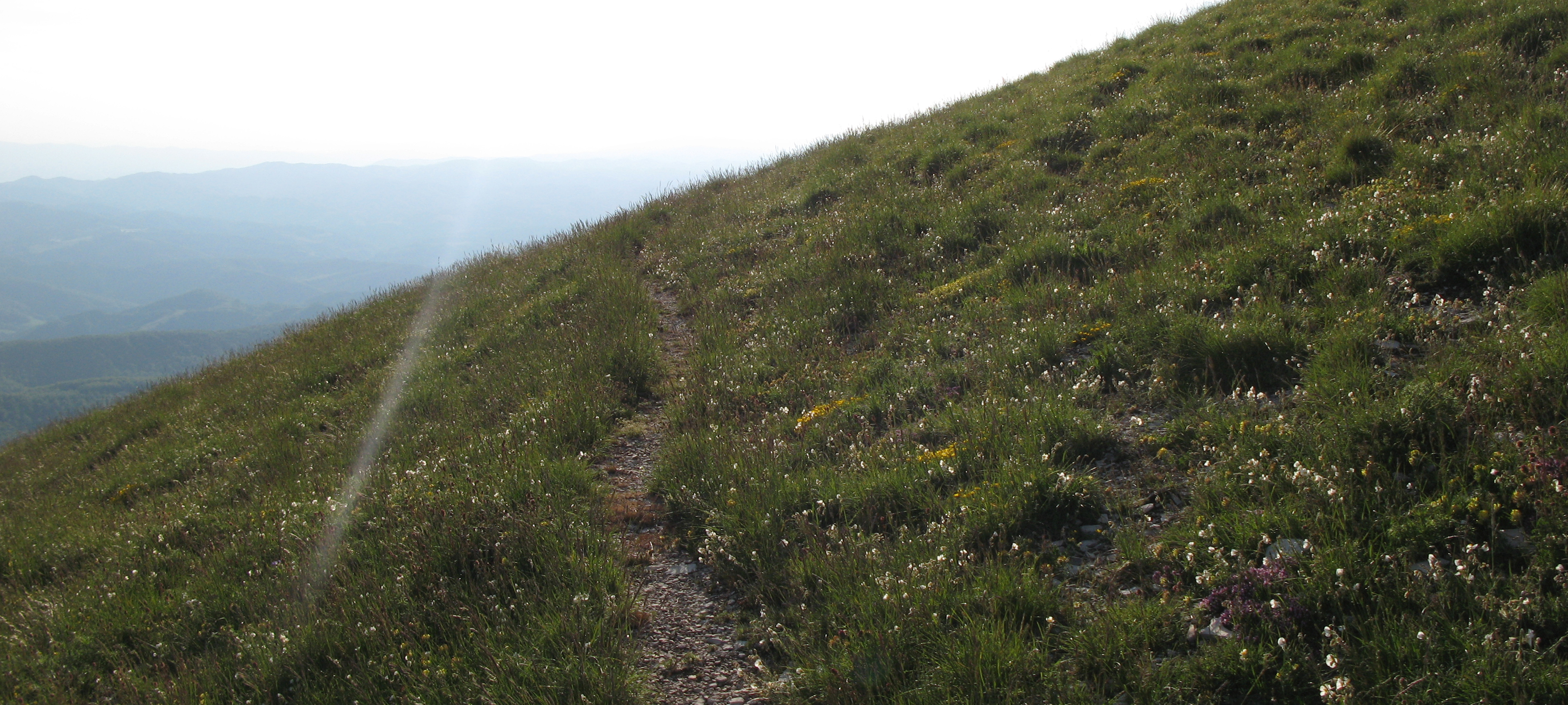Monte Nerone Sentiero 27 - immagine 5