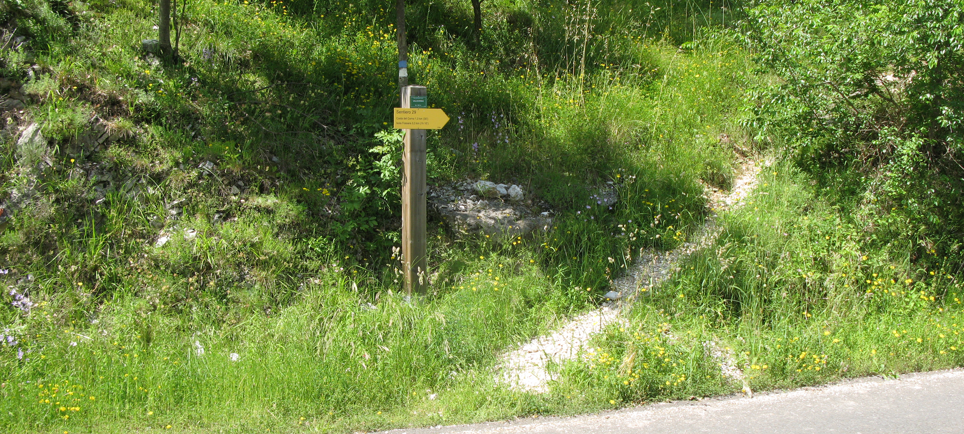 Monte Catria Sentiero 29 - immagine 1