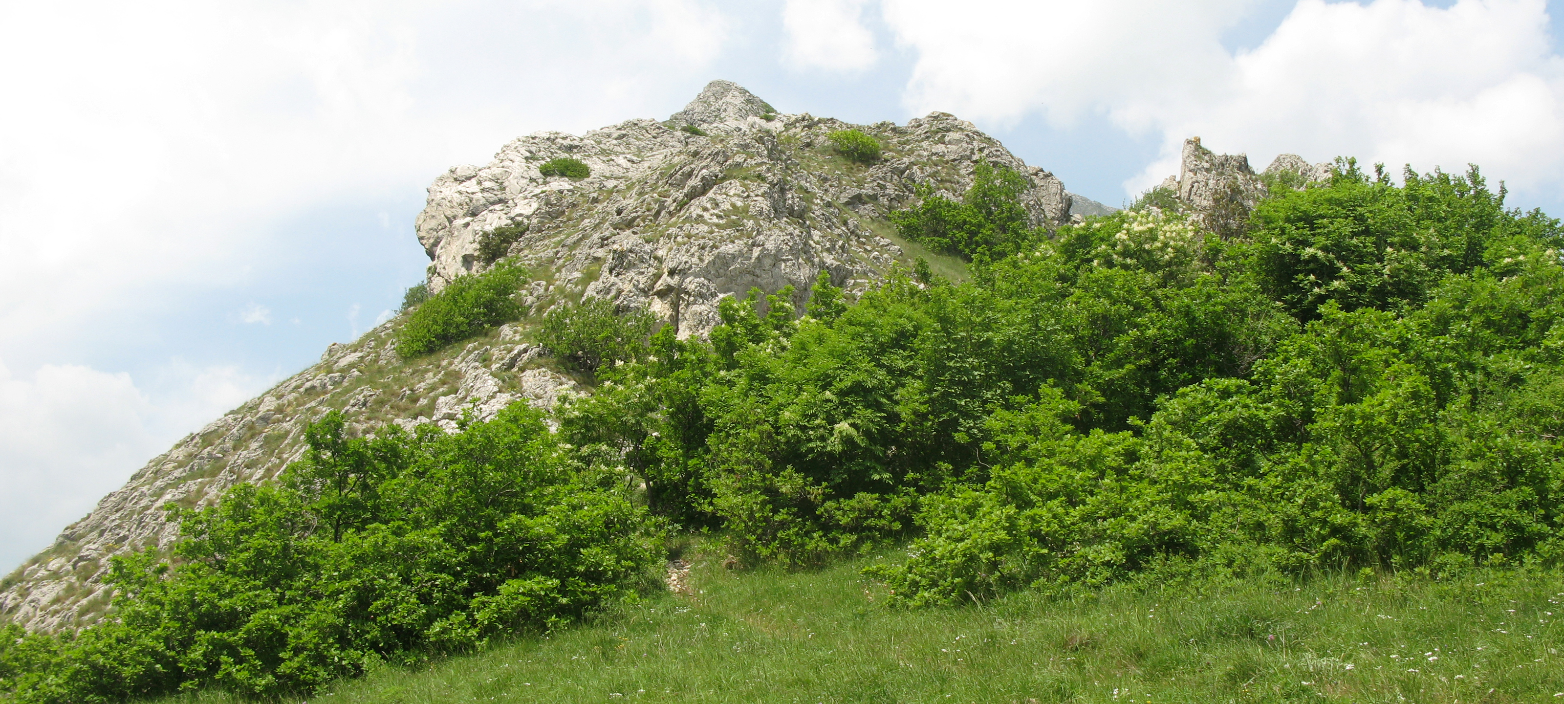 Monte Catria Sentiero 29 - immagine 3