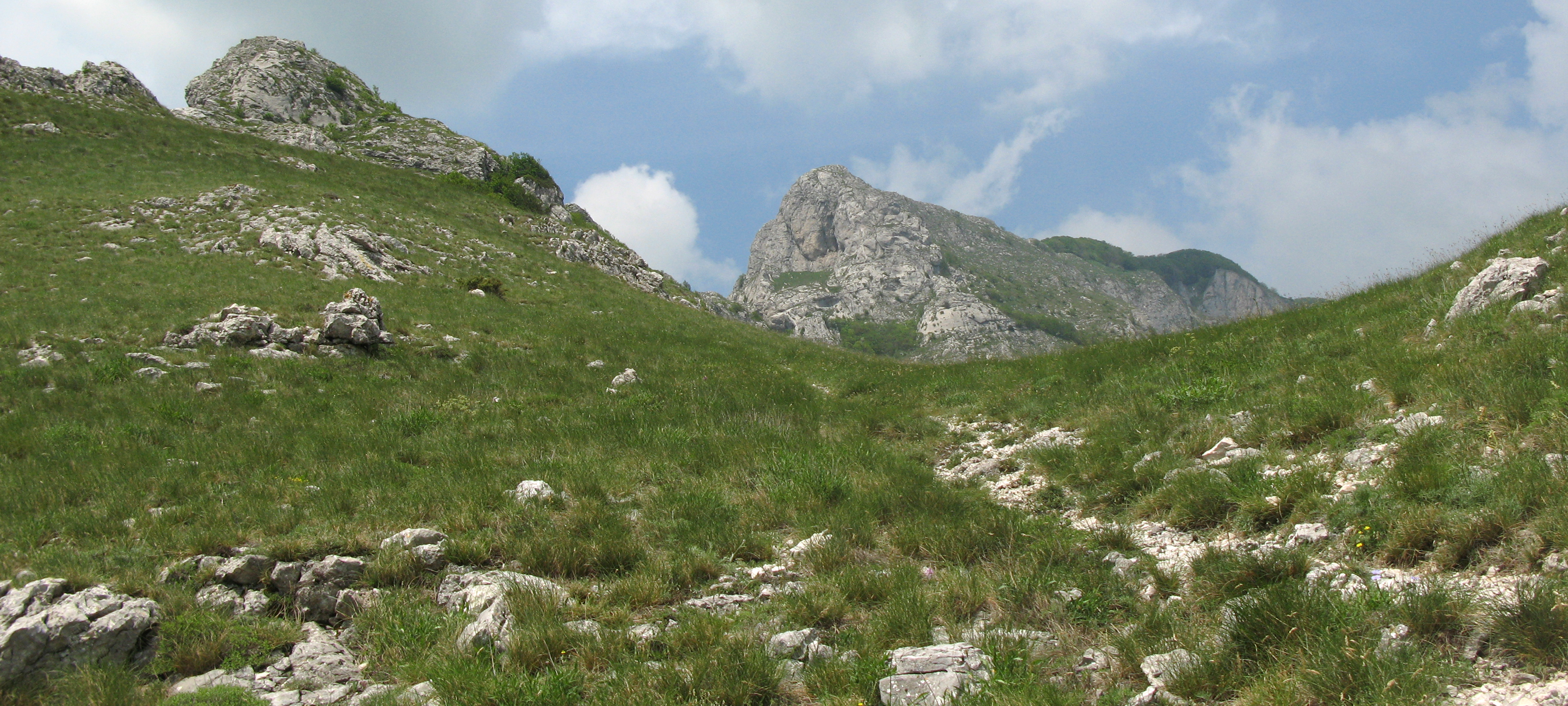 Monte Catria Sentiero 29 - immagine 4