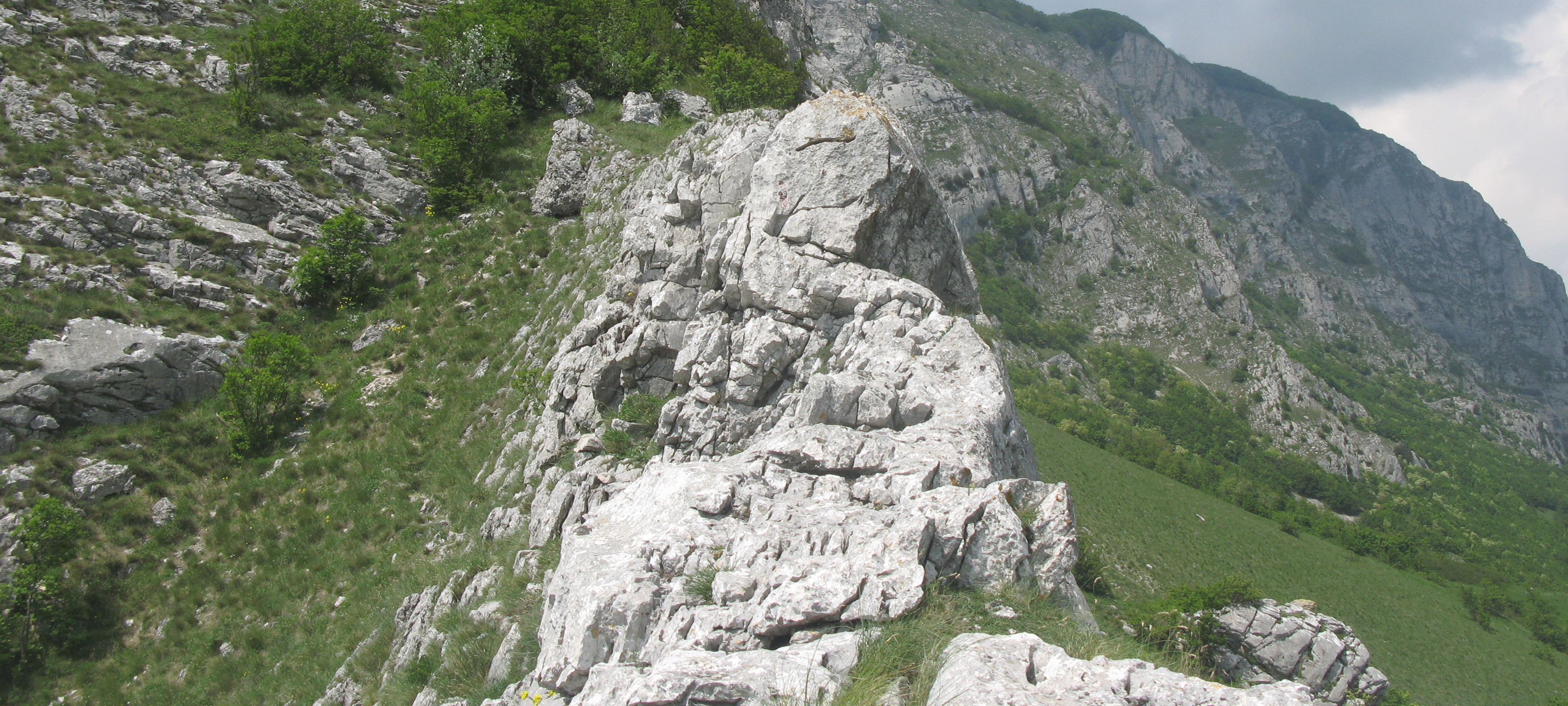 Monte Catria Sentiero 29 - immagine 6