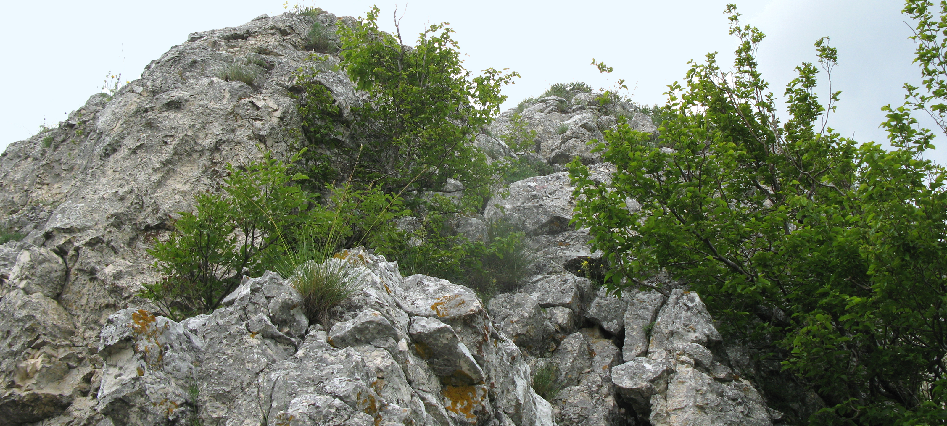Monte Catria Sentiero 29 - immagine 8