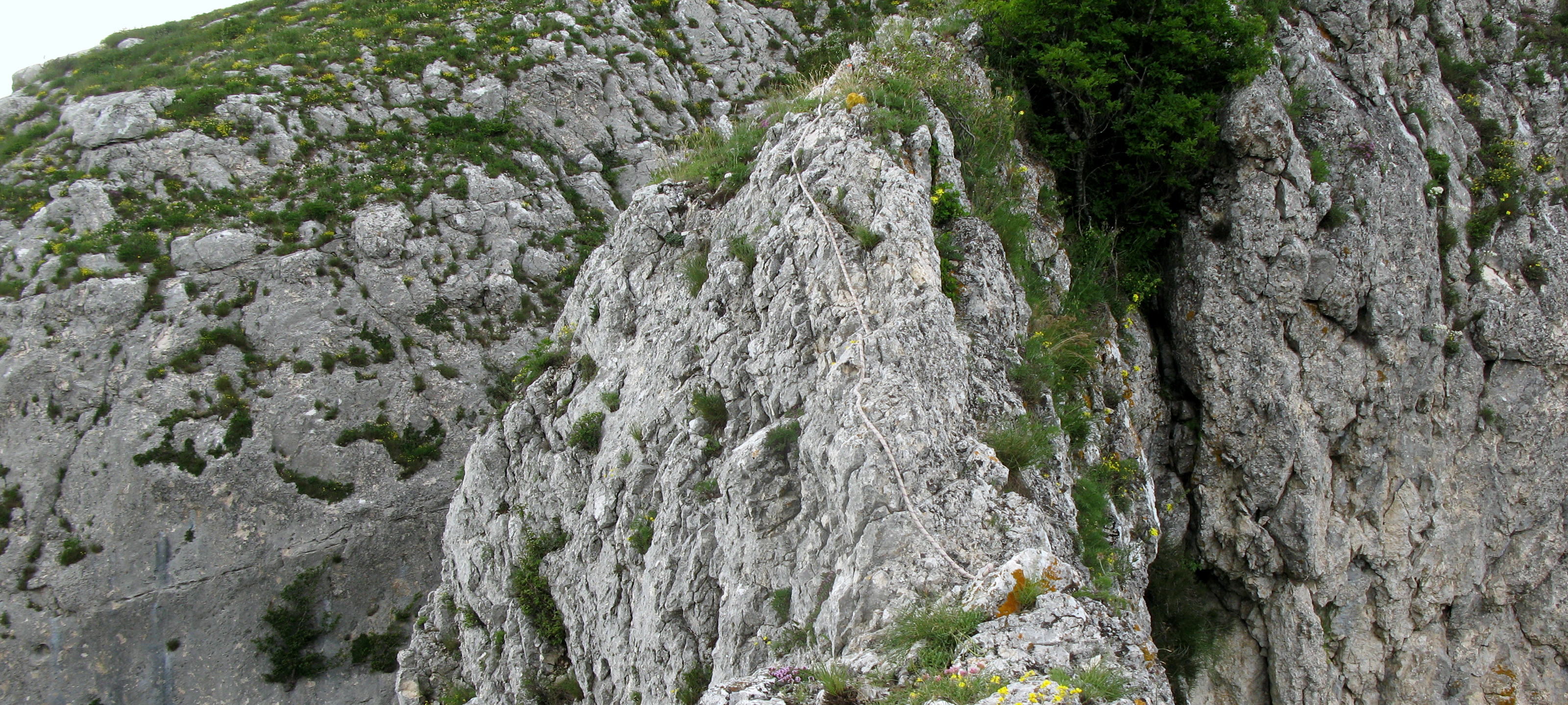 Monte Catria Sentiero 29 - immagine 9