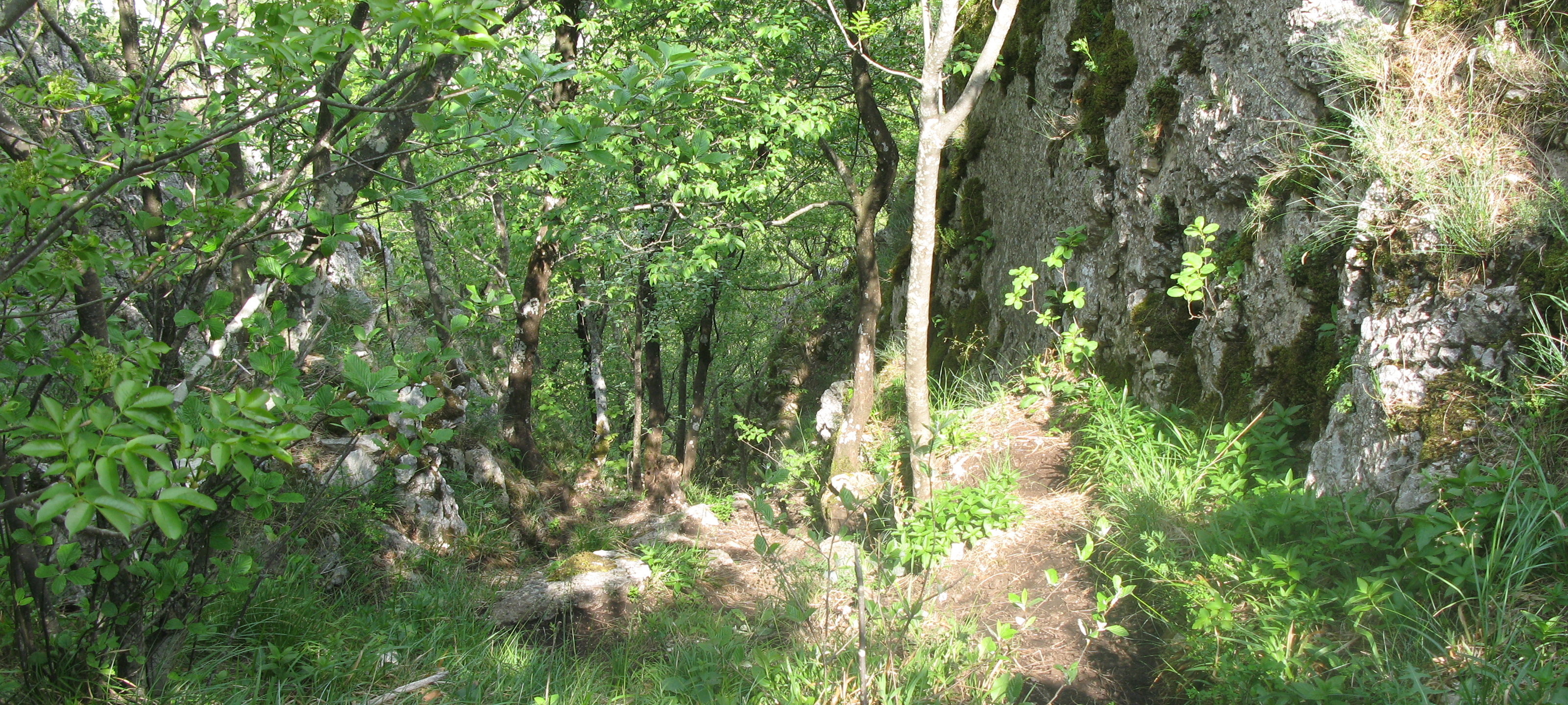 Monte Catria Sentiero 29 - immagine 10
