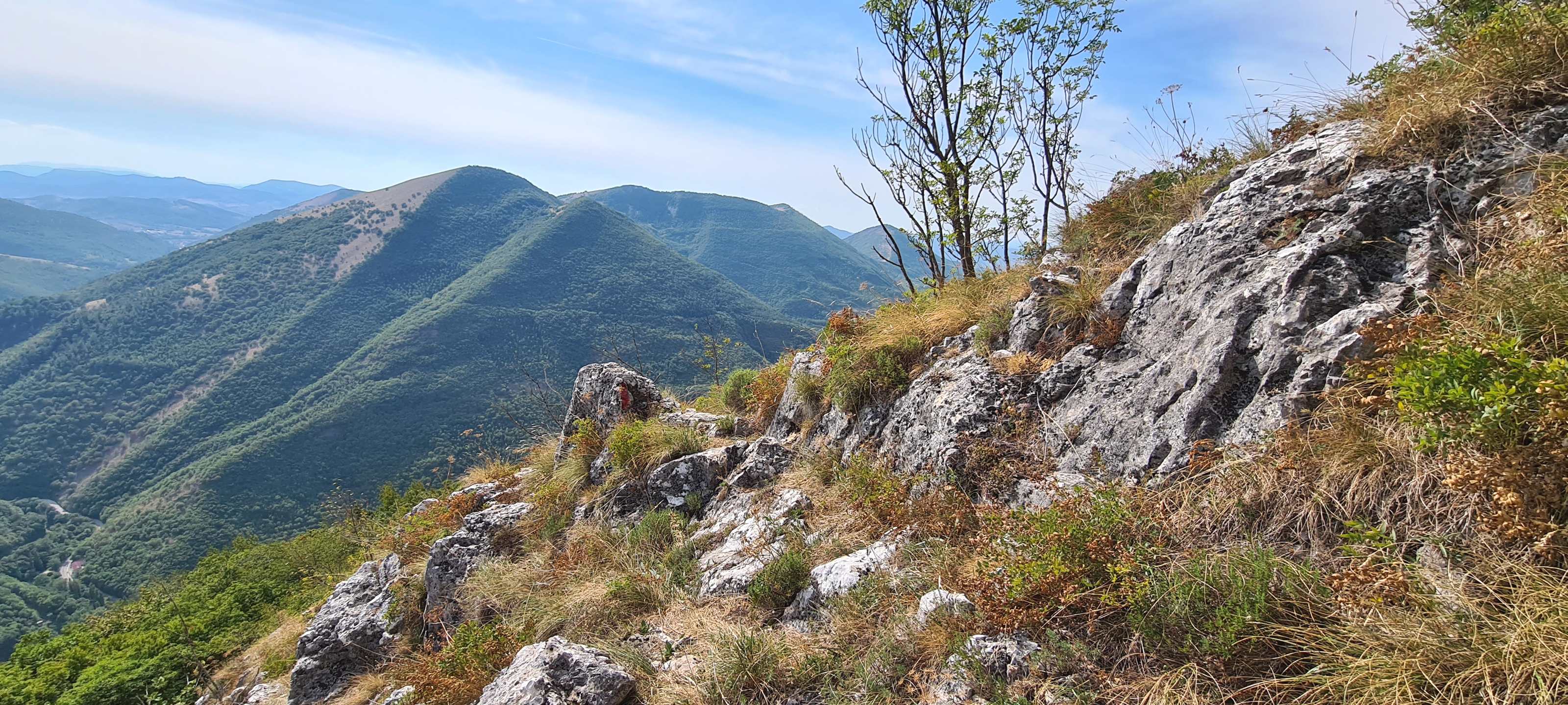 Monte Catria Sentiero 29 - immagine 12