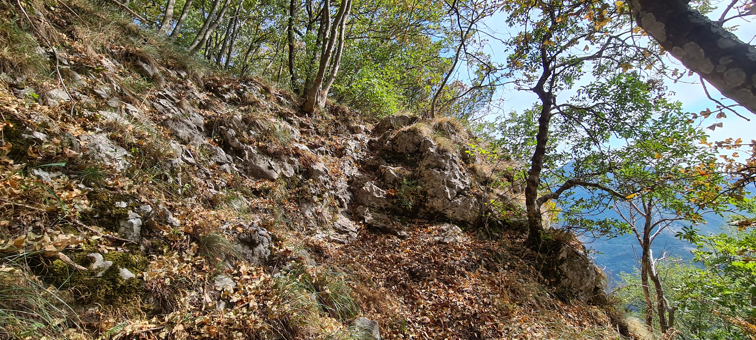 Monte Catria Sentiero 29 - immagine 14