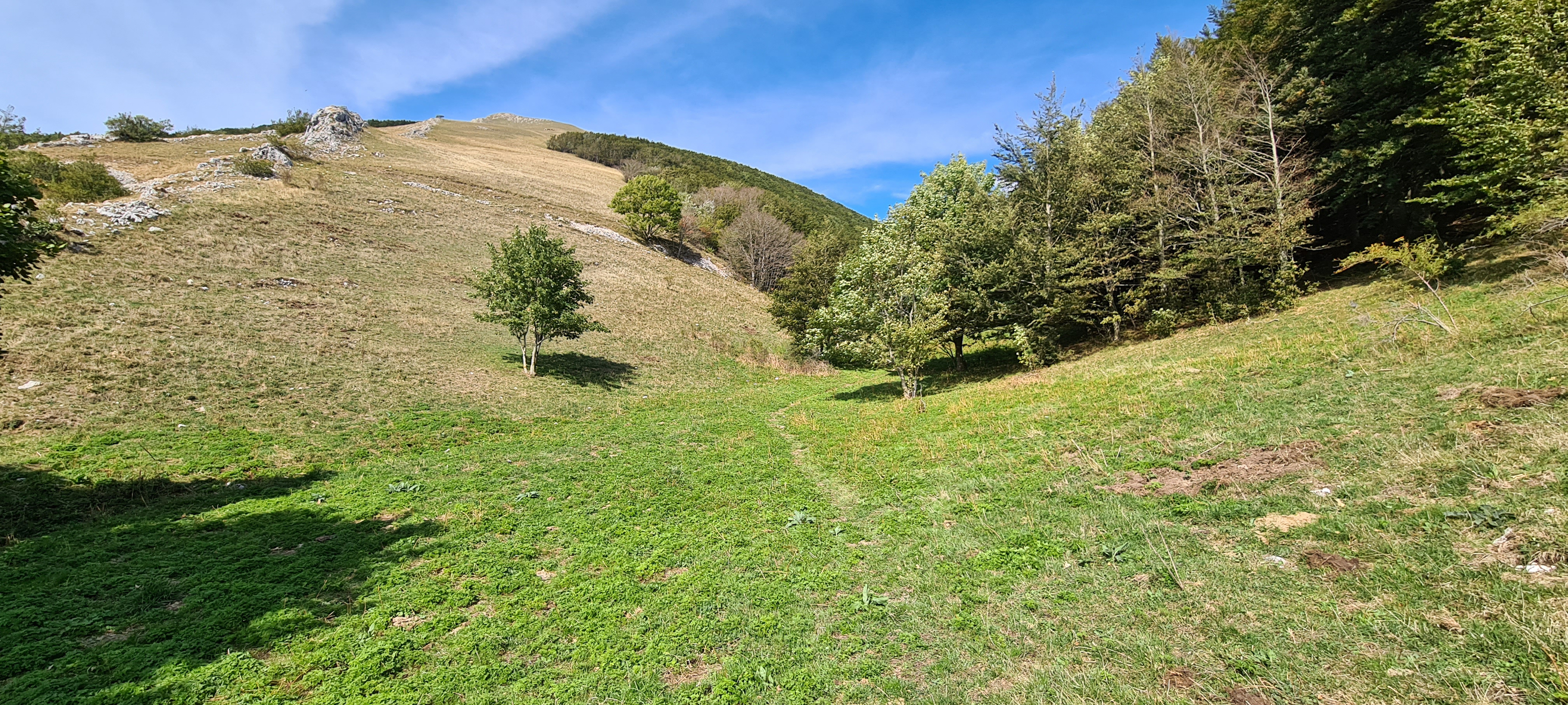 Monte Catria Sentiero 29 - immagine 16