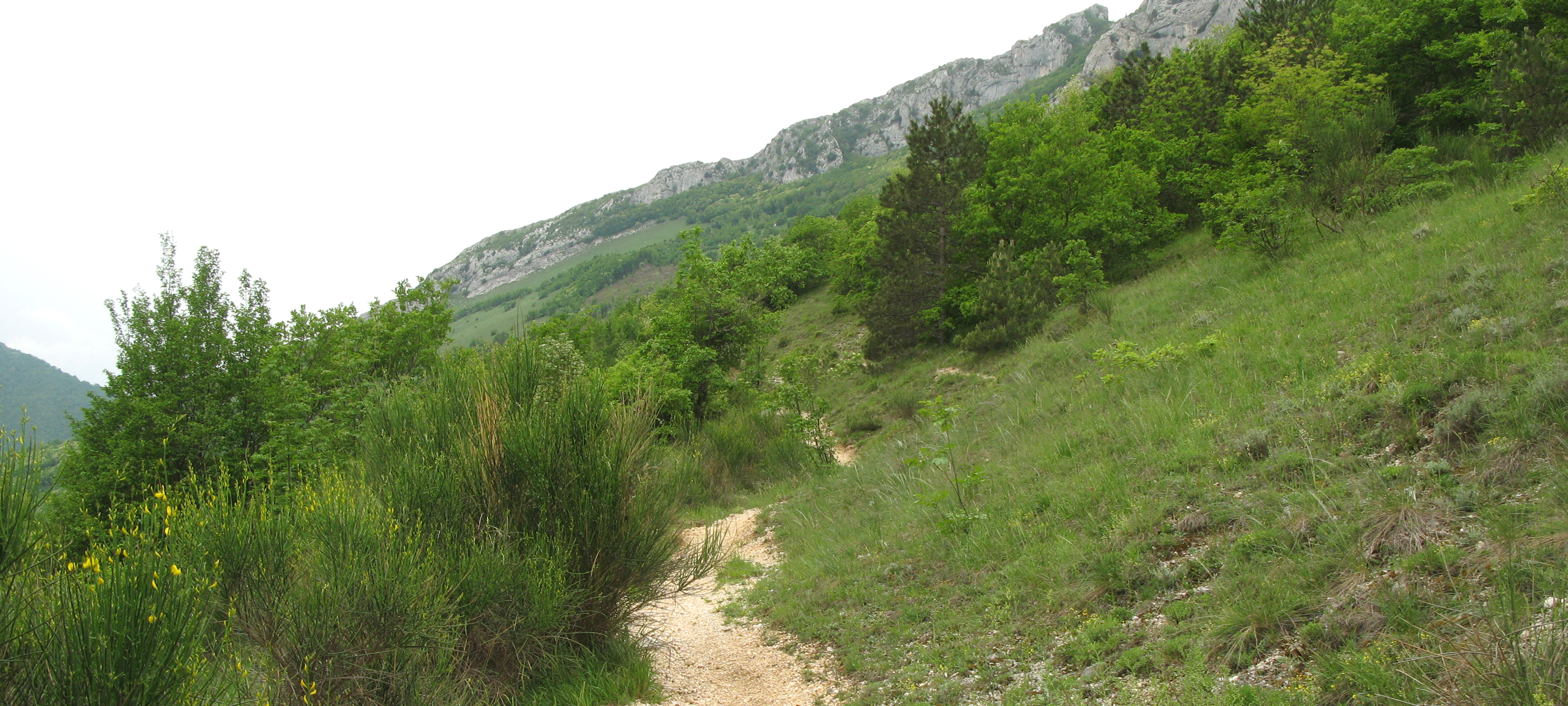 Monte Catria Sentiero 299 - immagine 3