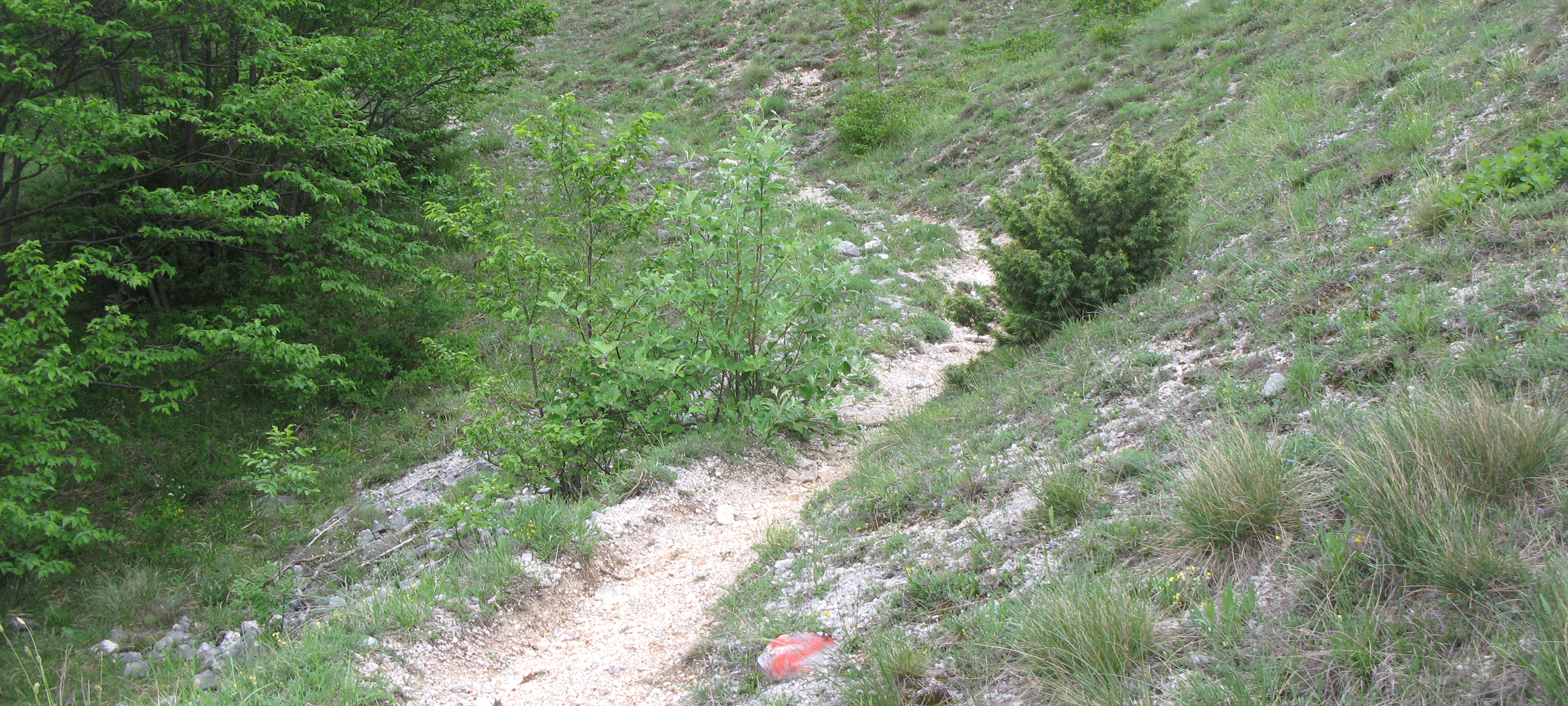 Monte Catria Sentiero 299 - immagine 5