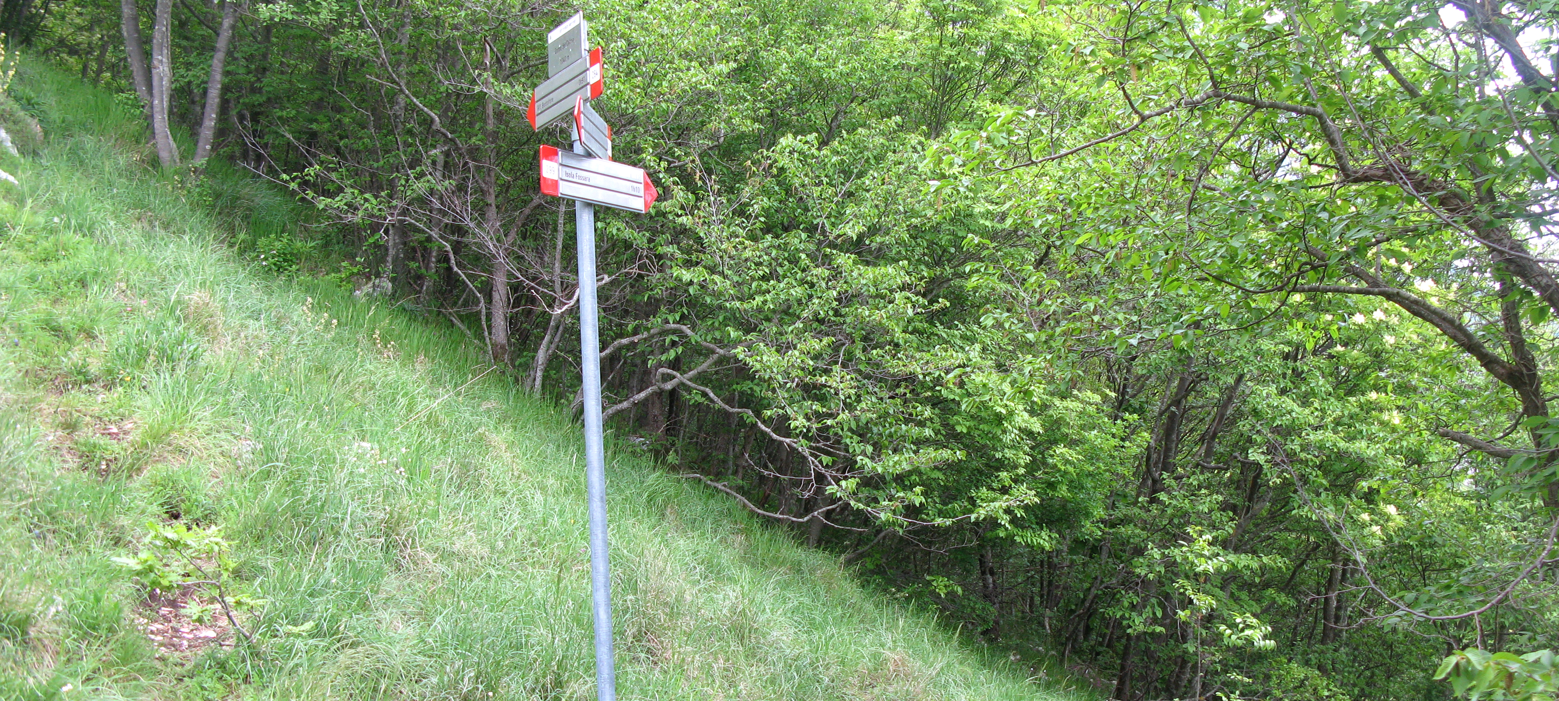 Monte Catria Sentiero 299 - immagine 6