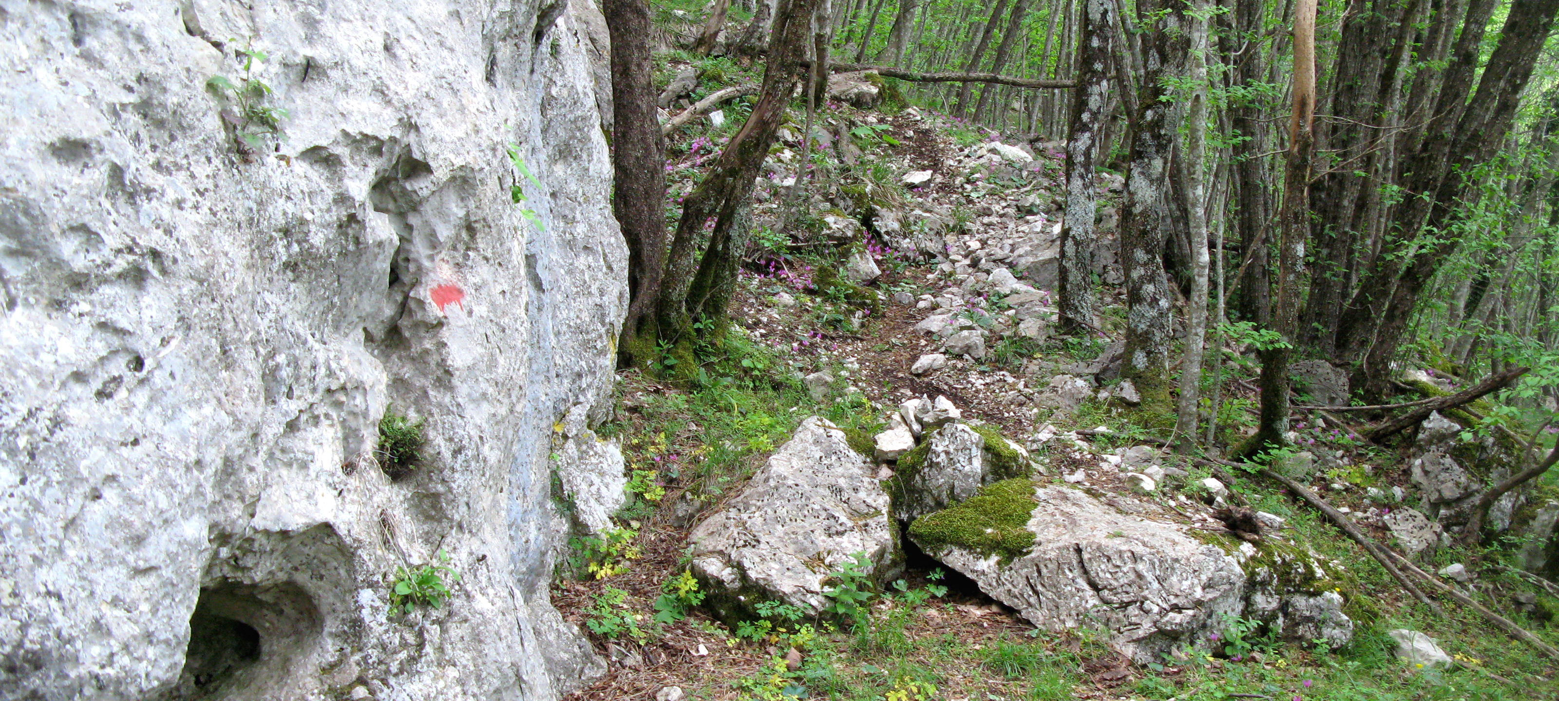 Monte Catria Sentiero 299 - immagine 7