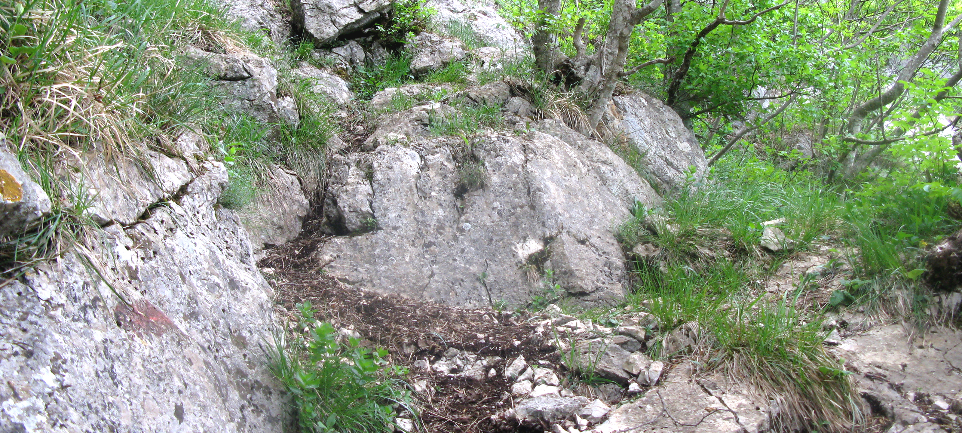 Monte Catria Sentiero 299 - immagine 8