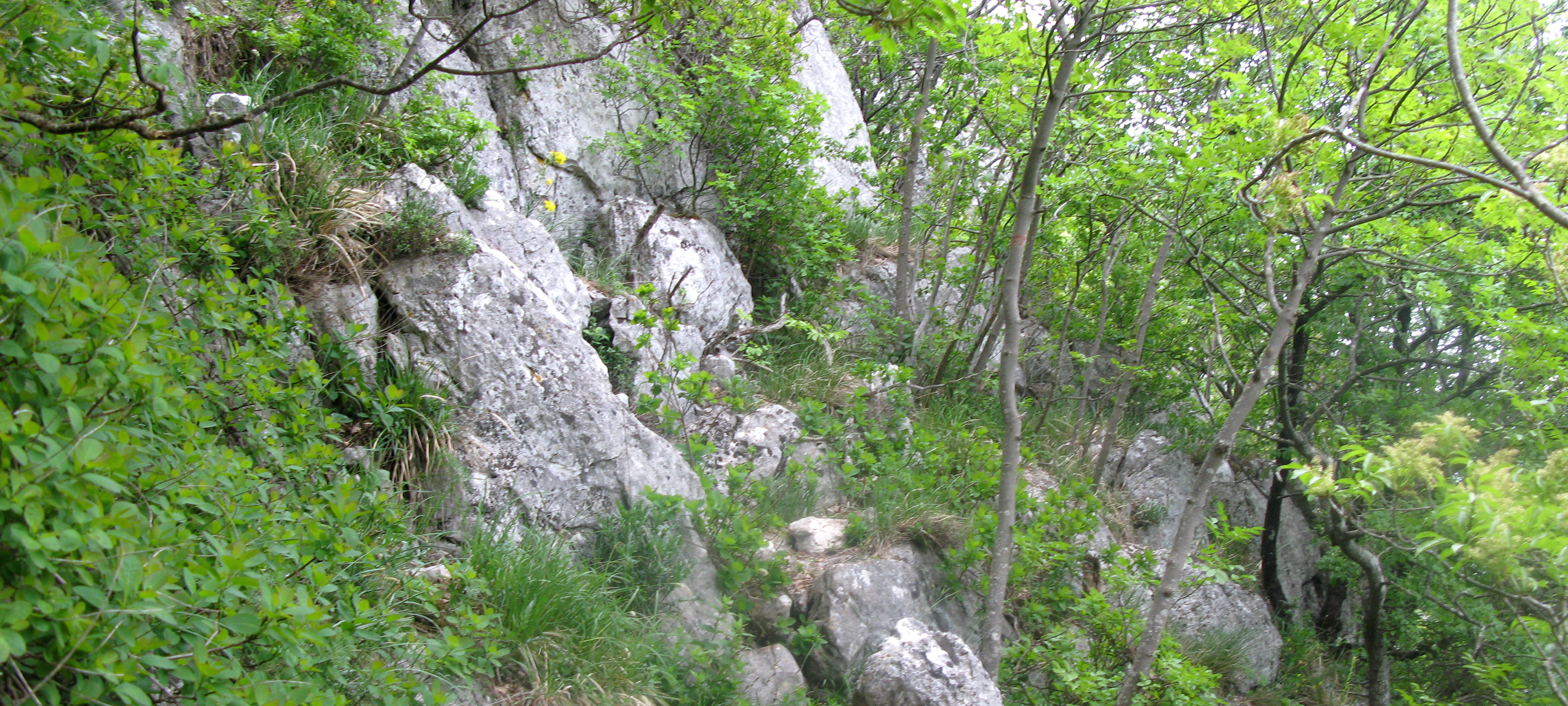 Monte Catria Sentiero 299 - immagine 9