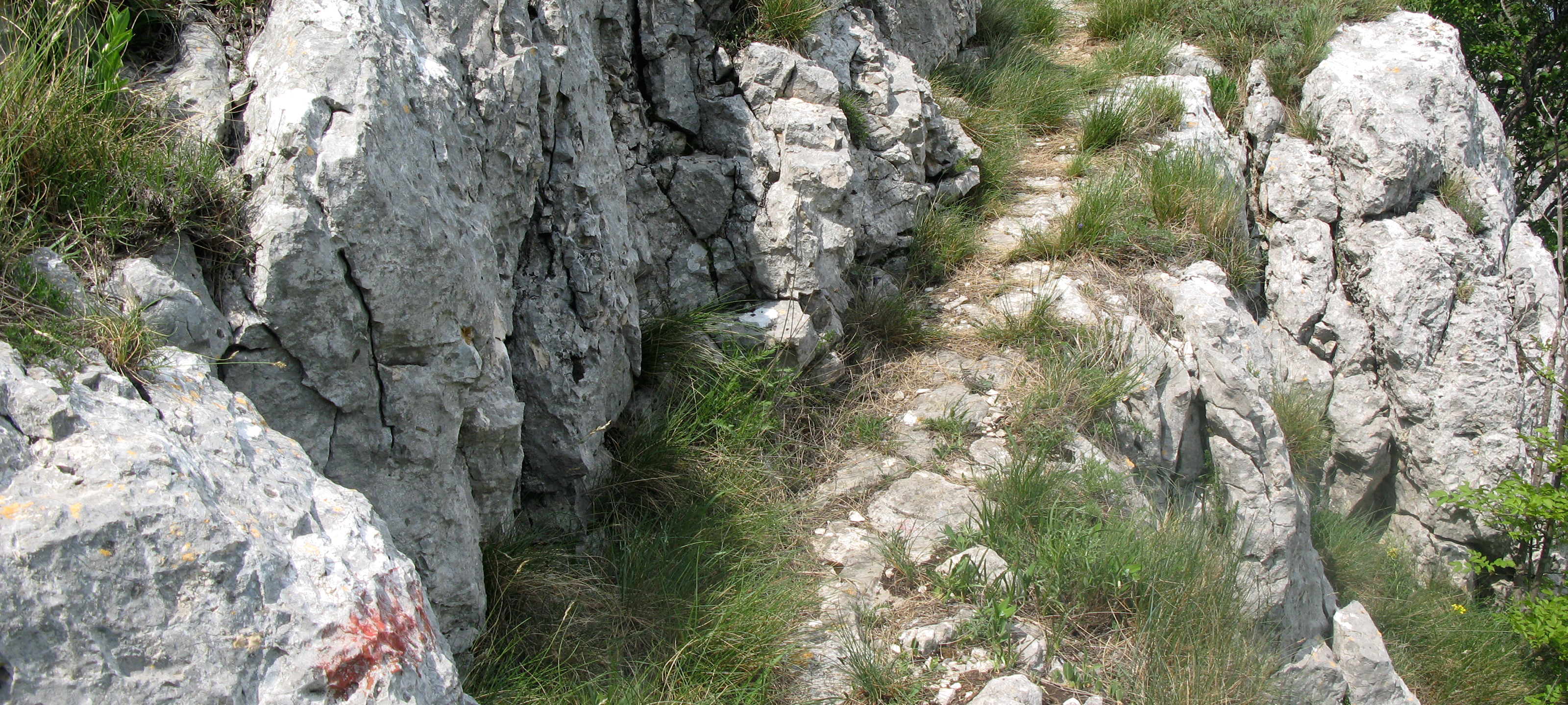 Monte Catria Sentiero 299 - immagine 10