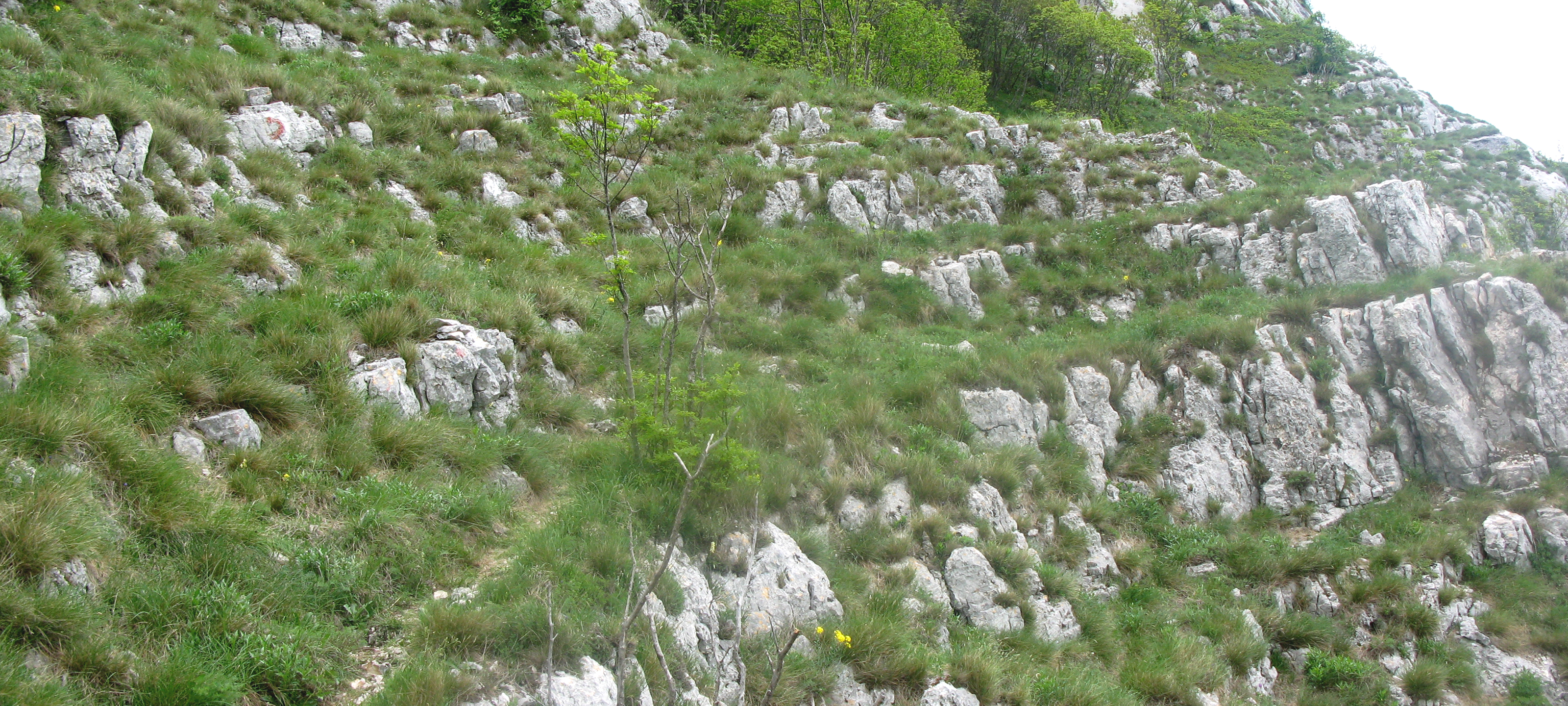 Monte Catria Sentiero 299 - immagine 11