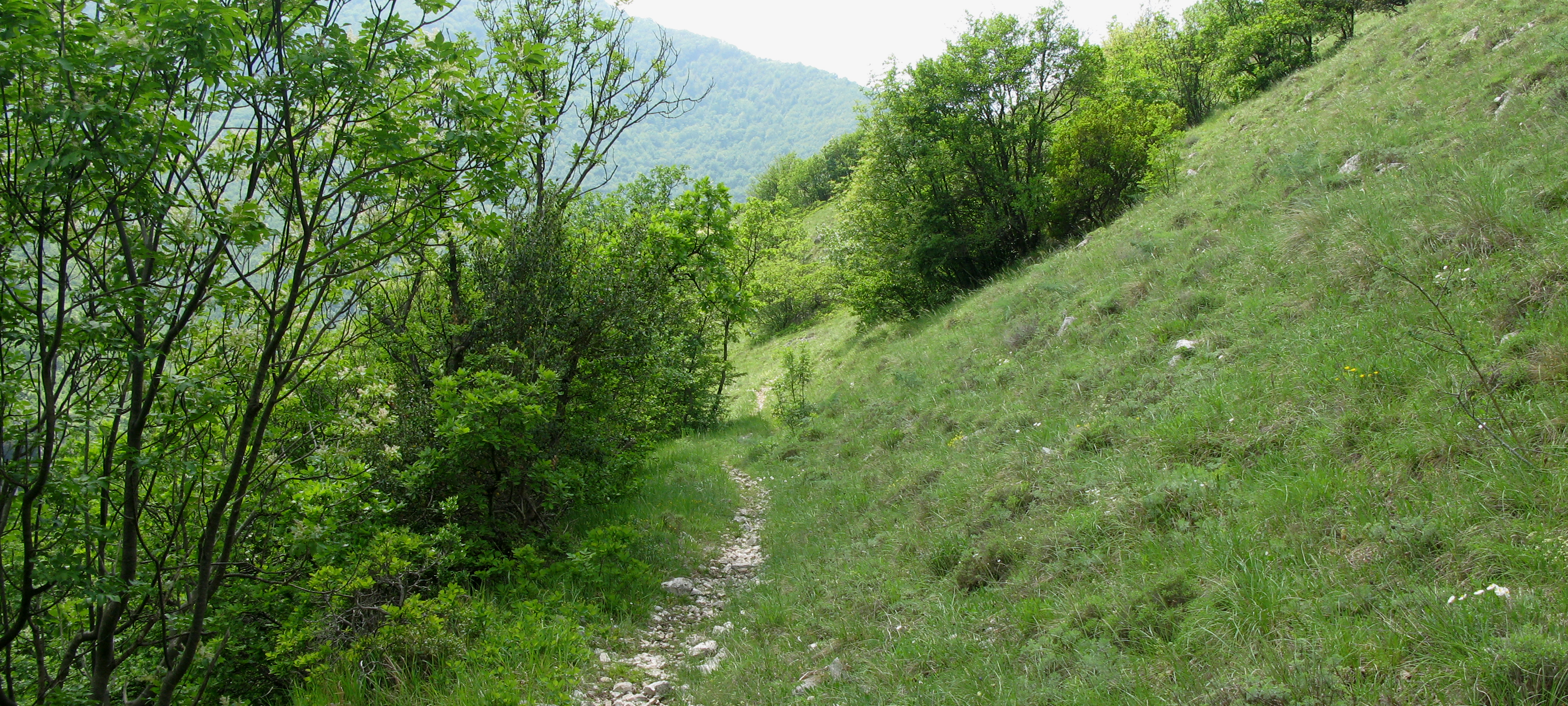 Monte Catria Sentiero 29bis - immagine 7
