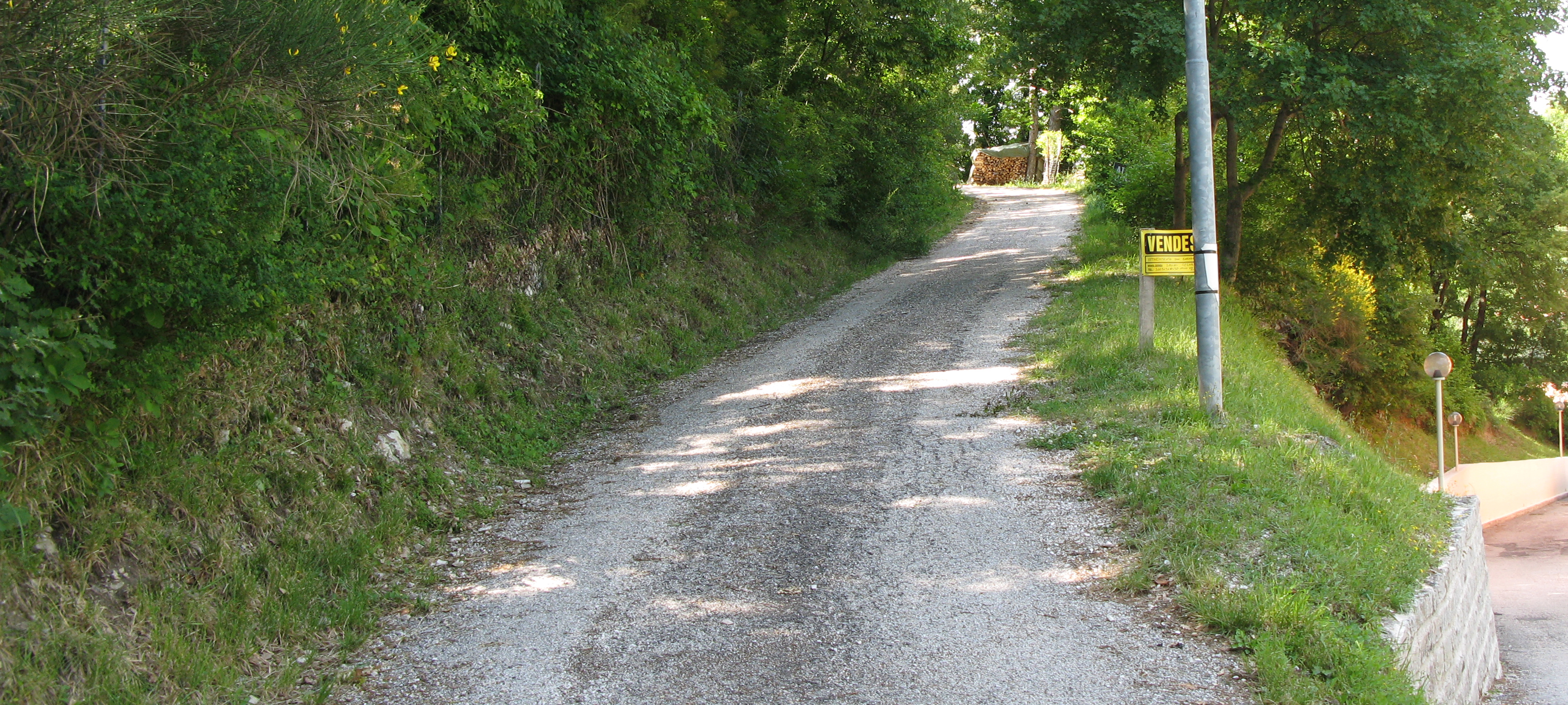 Monte Nerone Sentiero 3 - immagine 1