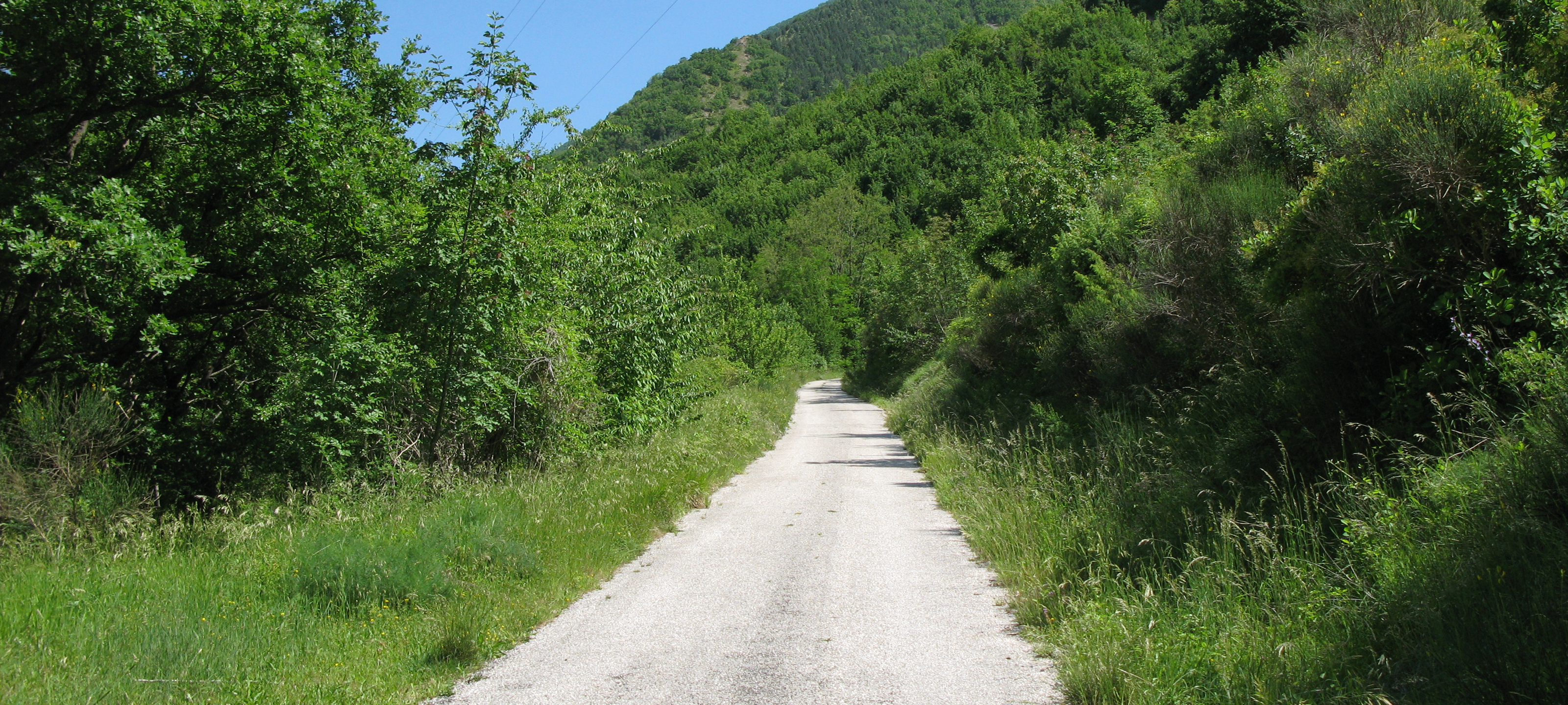 Monte Nerone Sentiero 3 - immagine 2