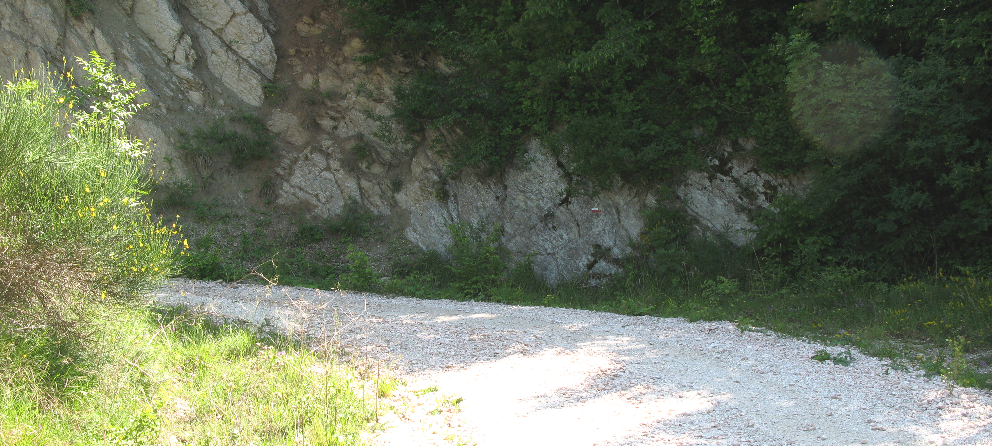 Monte Nerone Sentiero 3 - immagine 4