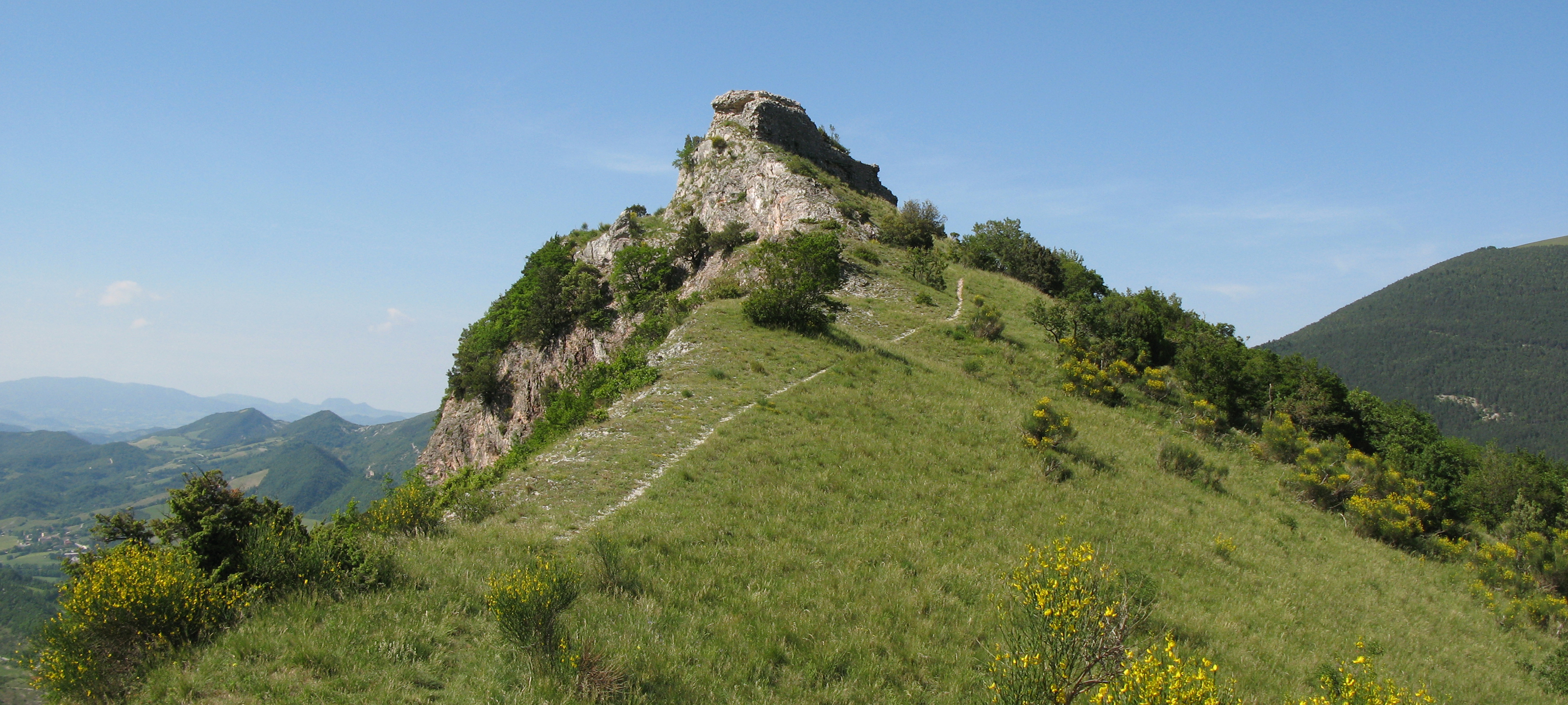 Monte Nerone Sentiero 3 - immagine 11 (I Muracci)