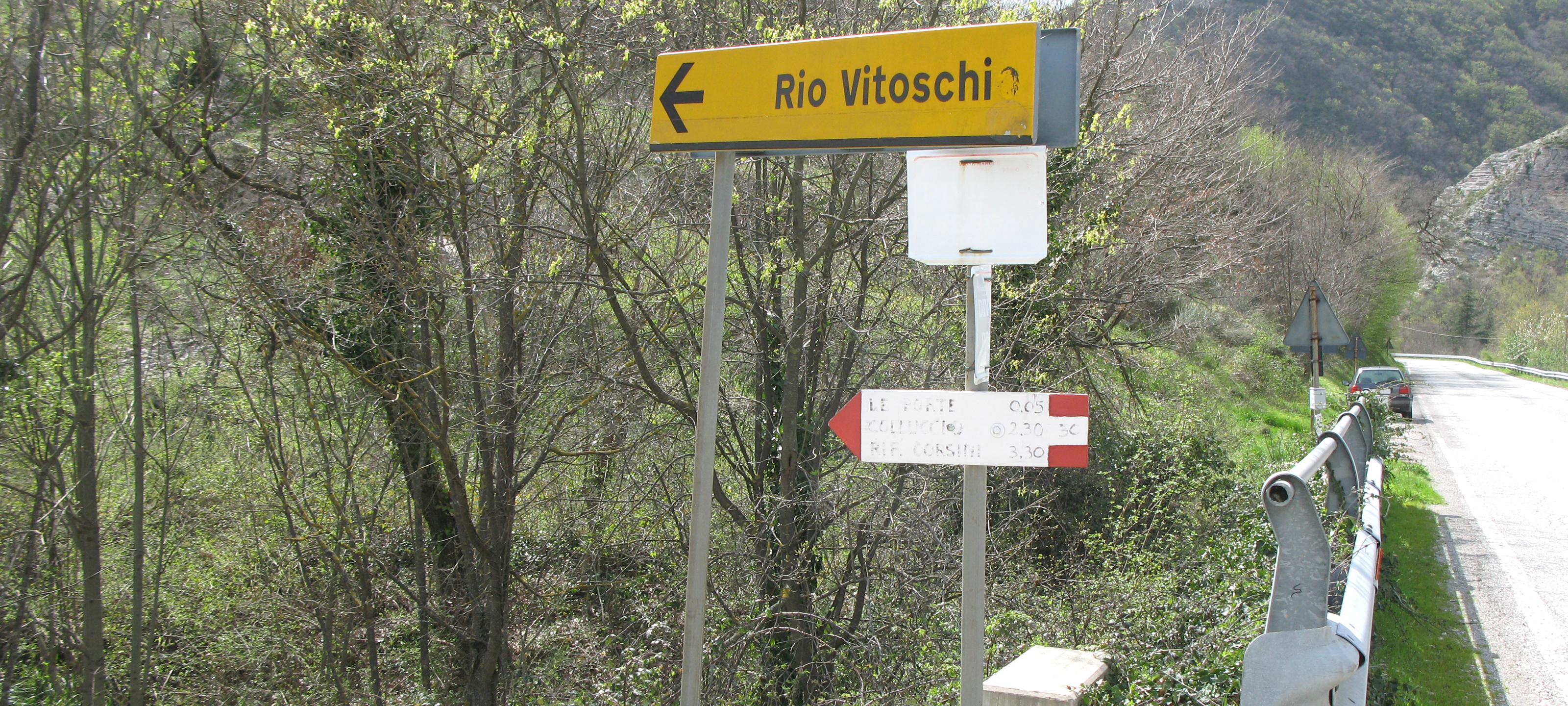 Monte Nerone Sentiero 30 - immagine 1