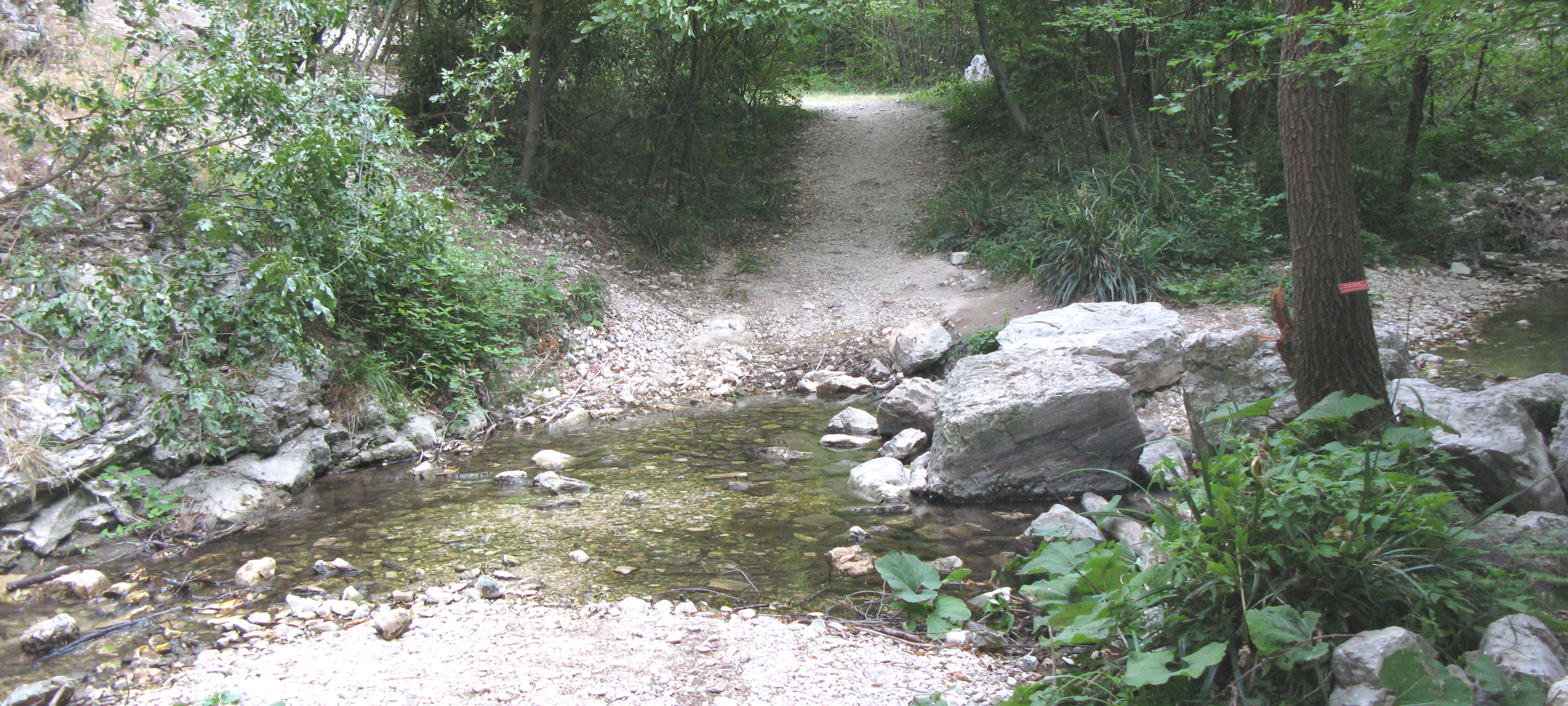 Monte Nerone Sentiero 30 - immagine 3 (Rio Vitoschio)