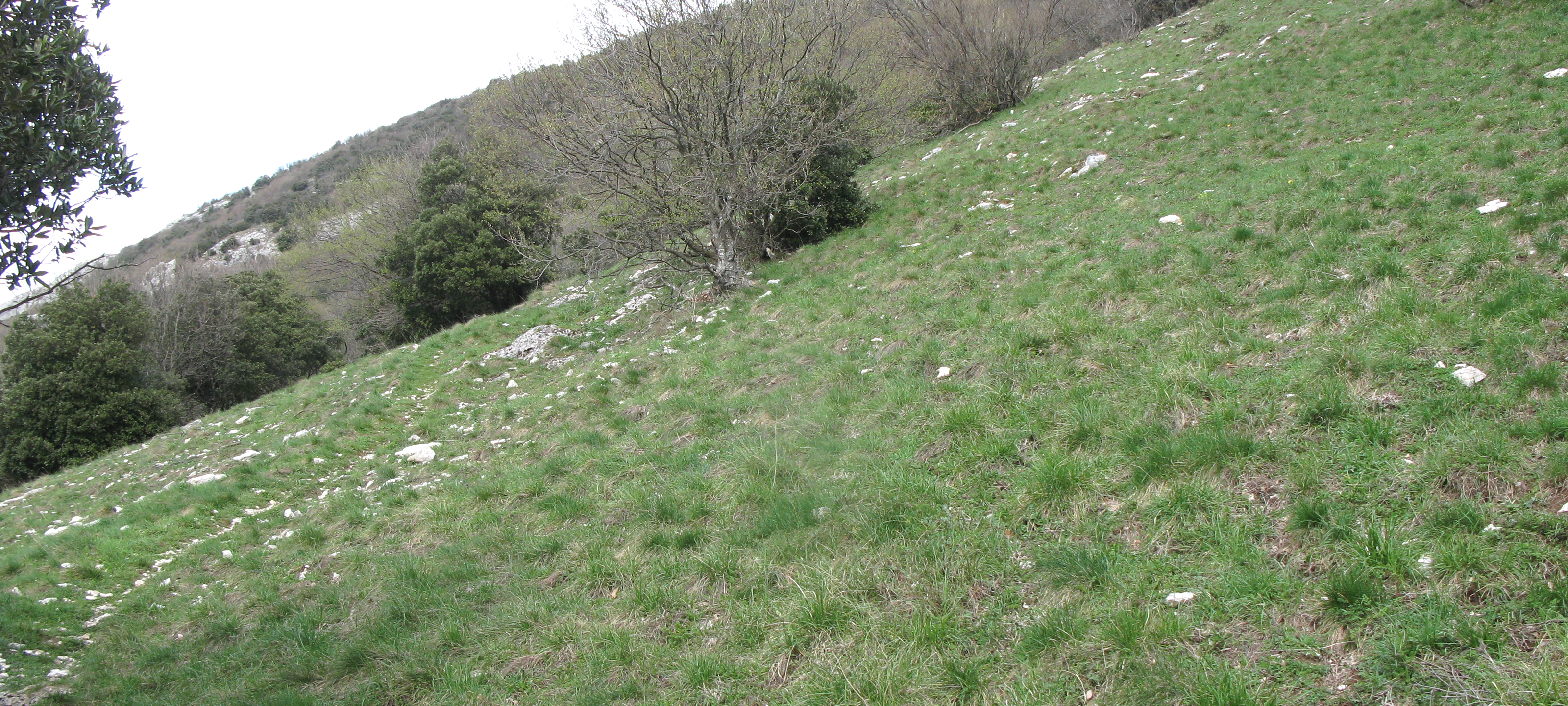 Monte Nerone Sentiero 30 - immagine 8