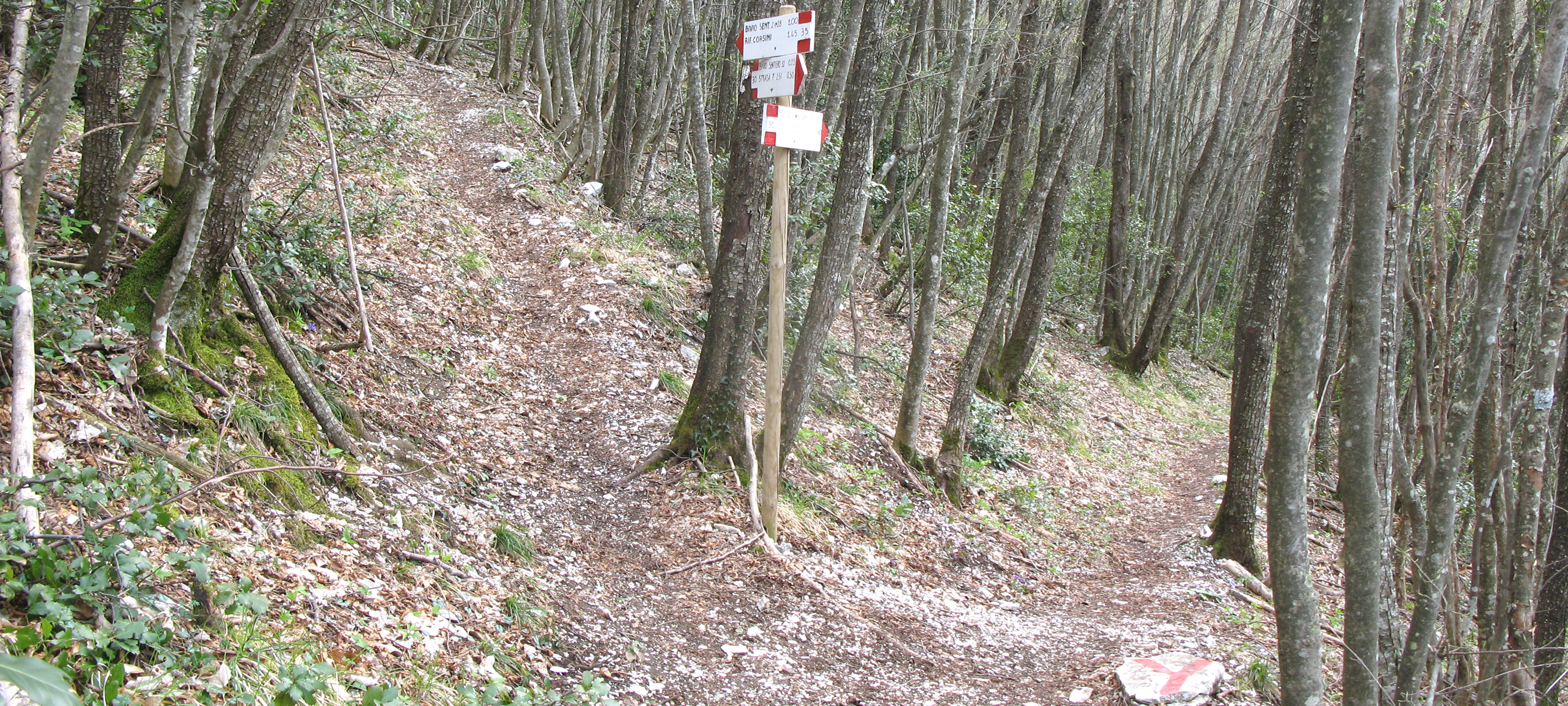 Monte Nerone Sentiero 30 - immagine 10