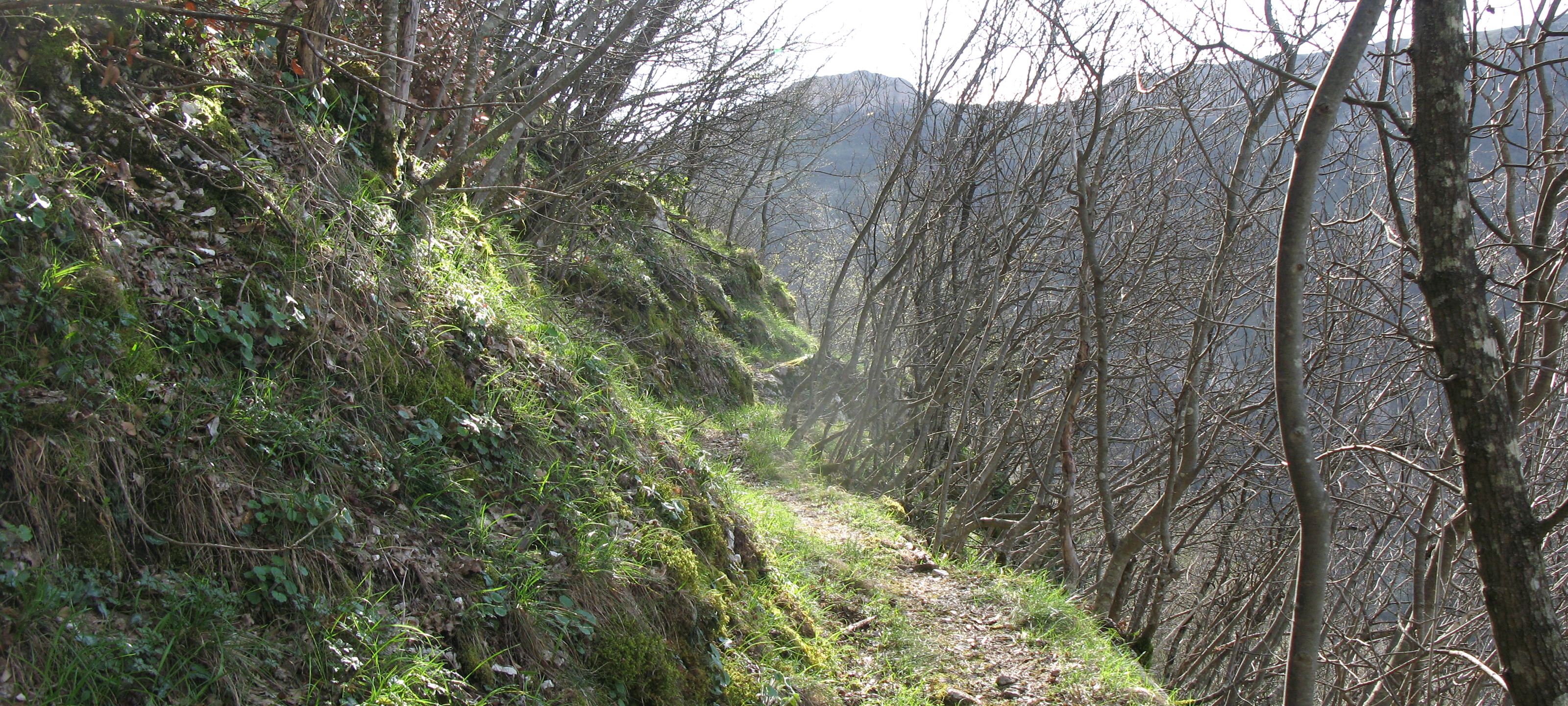 Monte Nerone Sentiero 30 - immagine 13